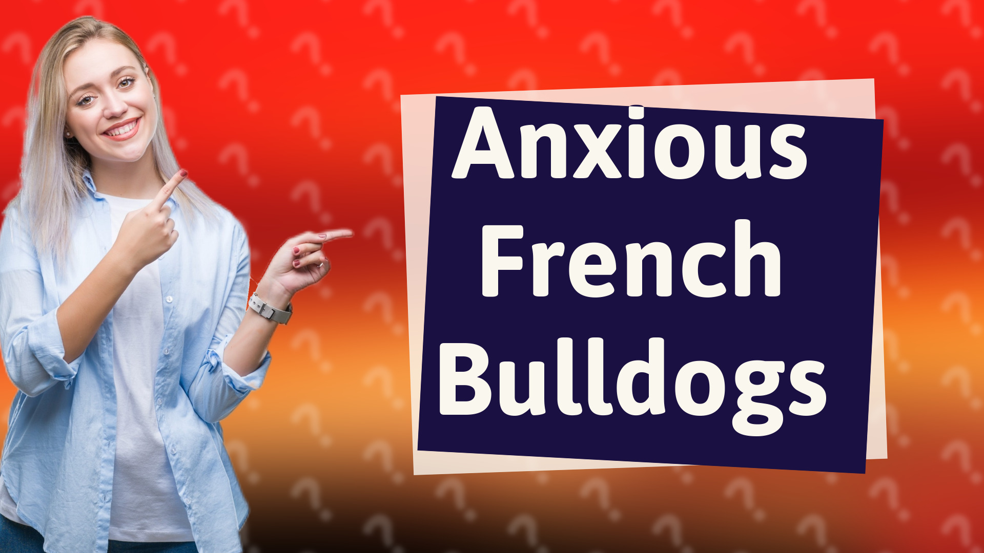 Anxious French Bulldogs