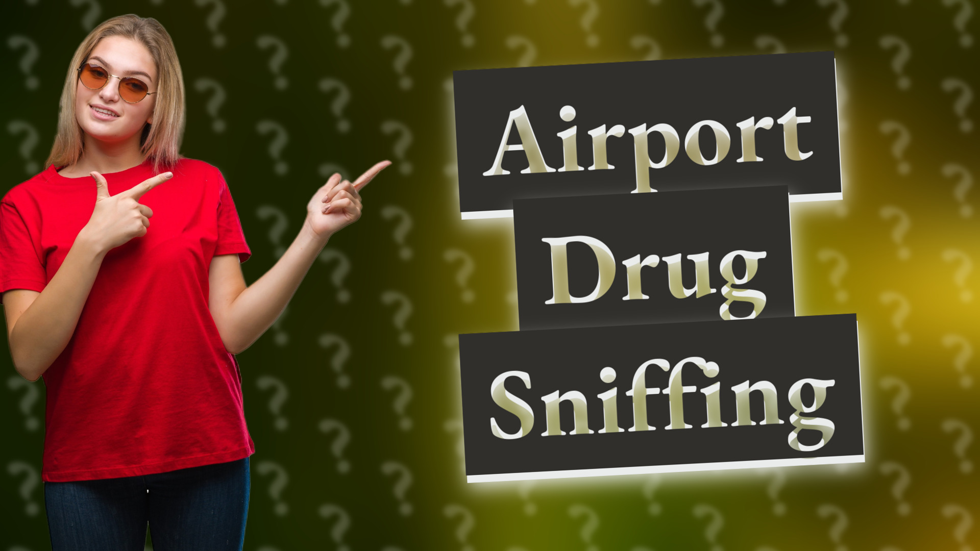 Airport Drug Sniffing