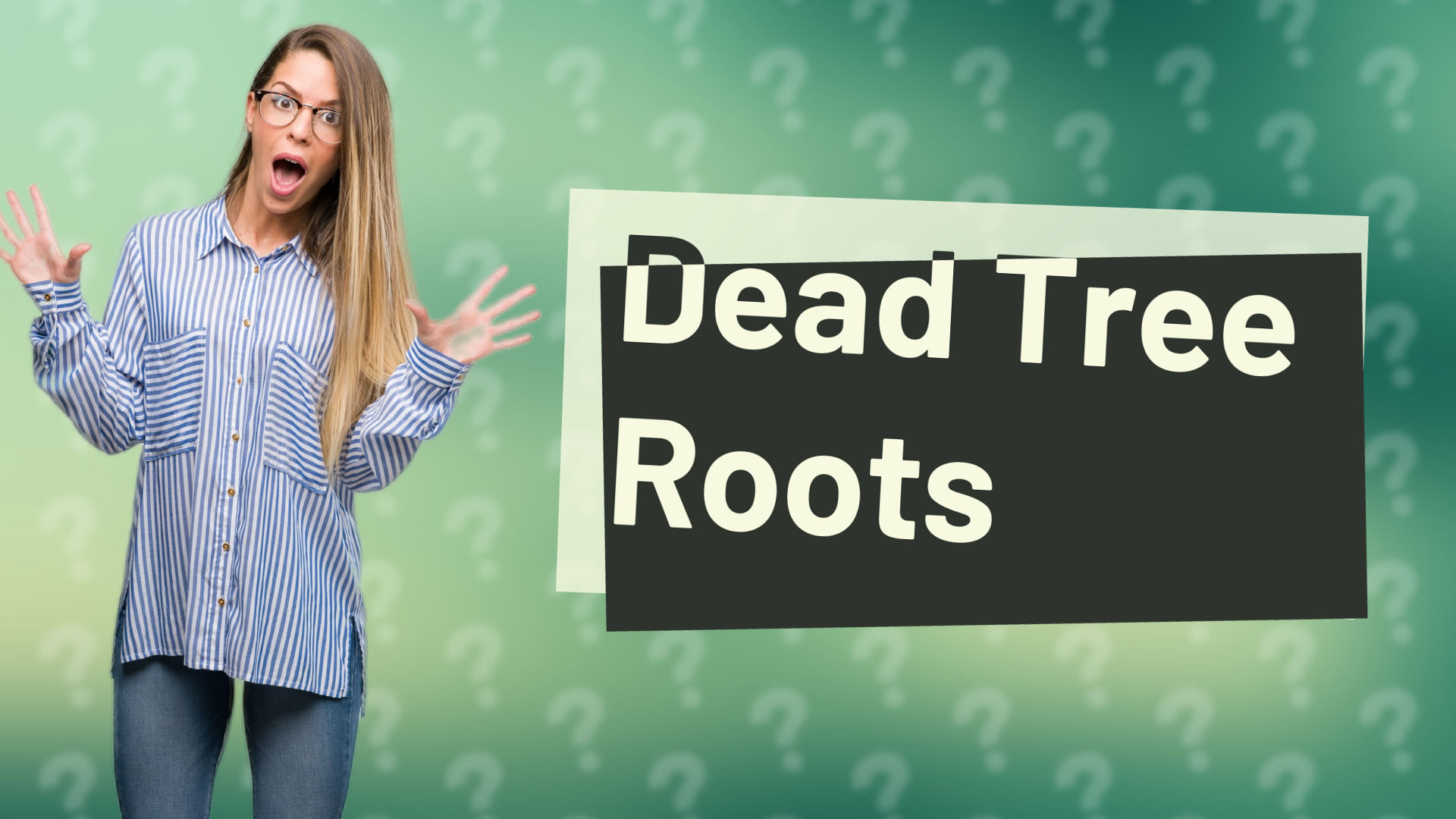 Dead Tree Roots