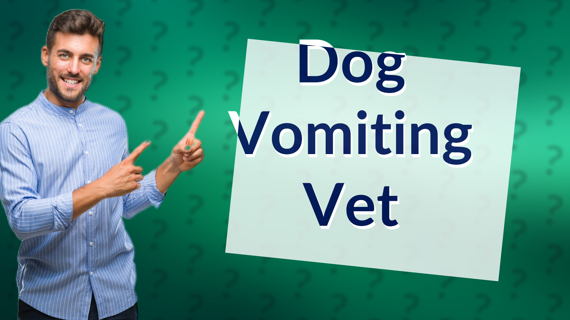 Dog Vomiting Vet