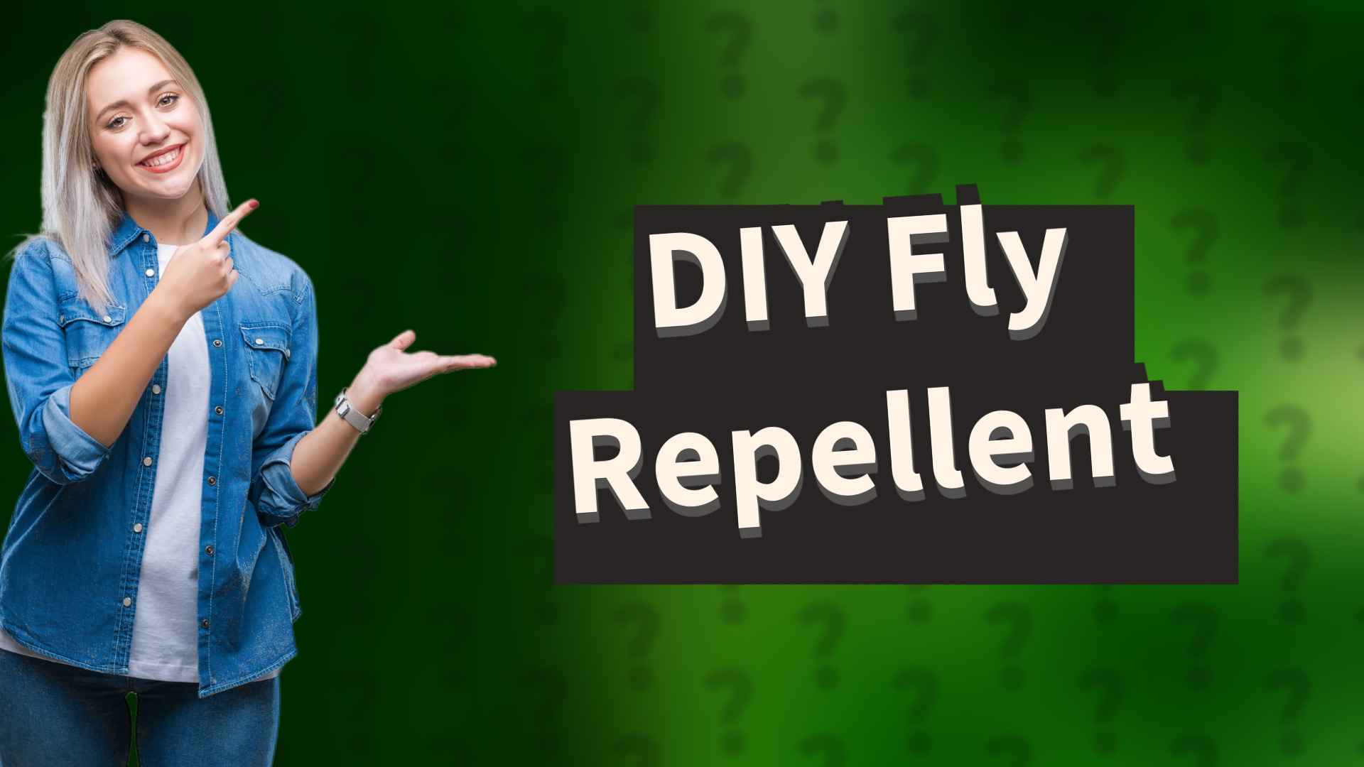 DIY Fly Repellent