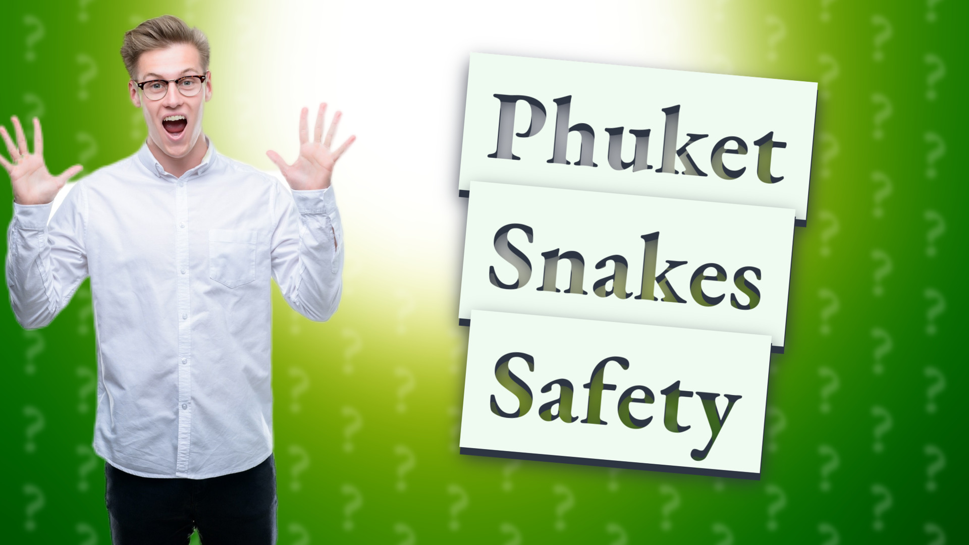 Phuket Snakes Safety