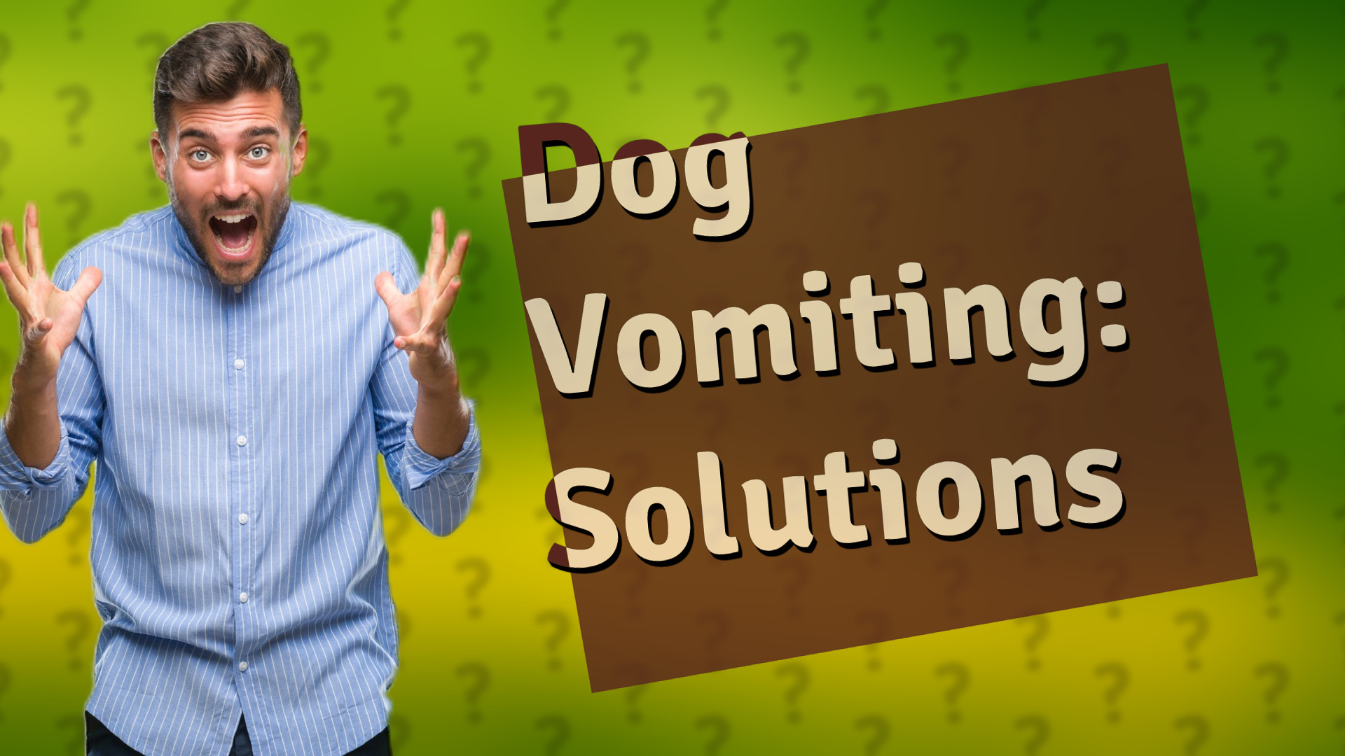 Dog Vomiting: Solutions