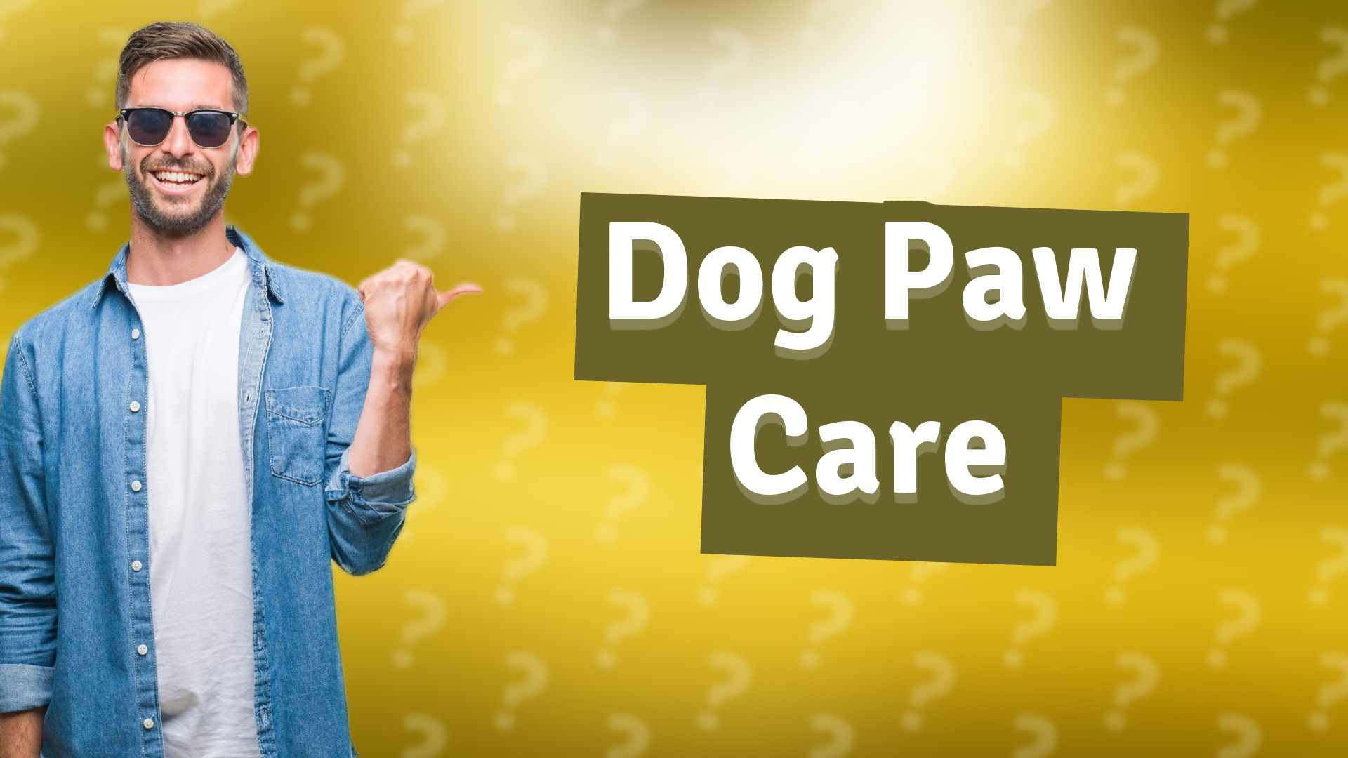 Dog Paw Care