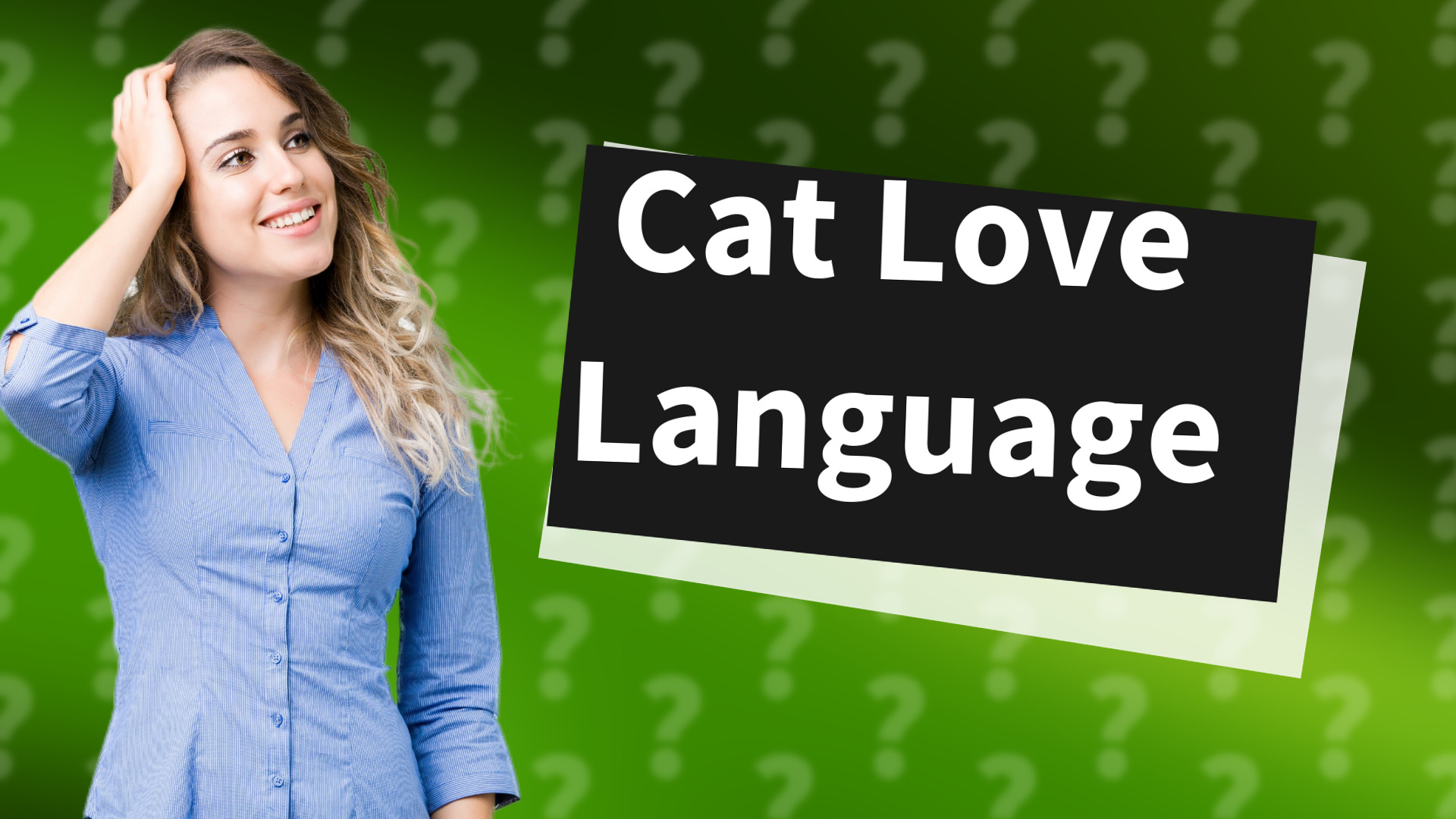 Cat Love Language