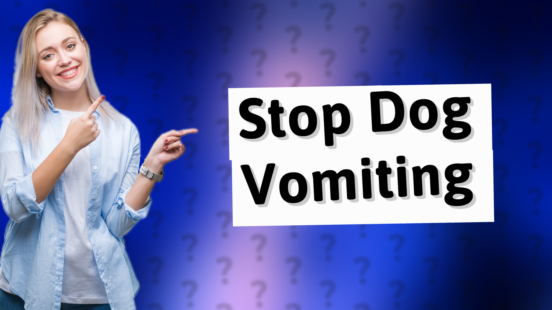 Stop Dog Vomiting