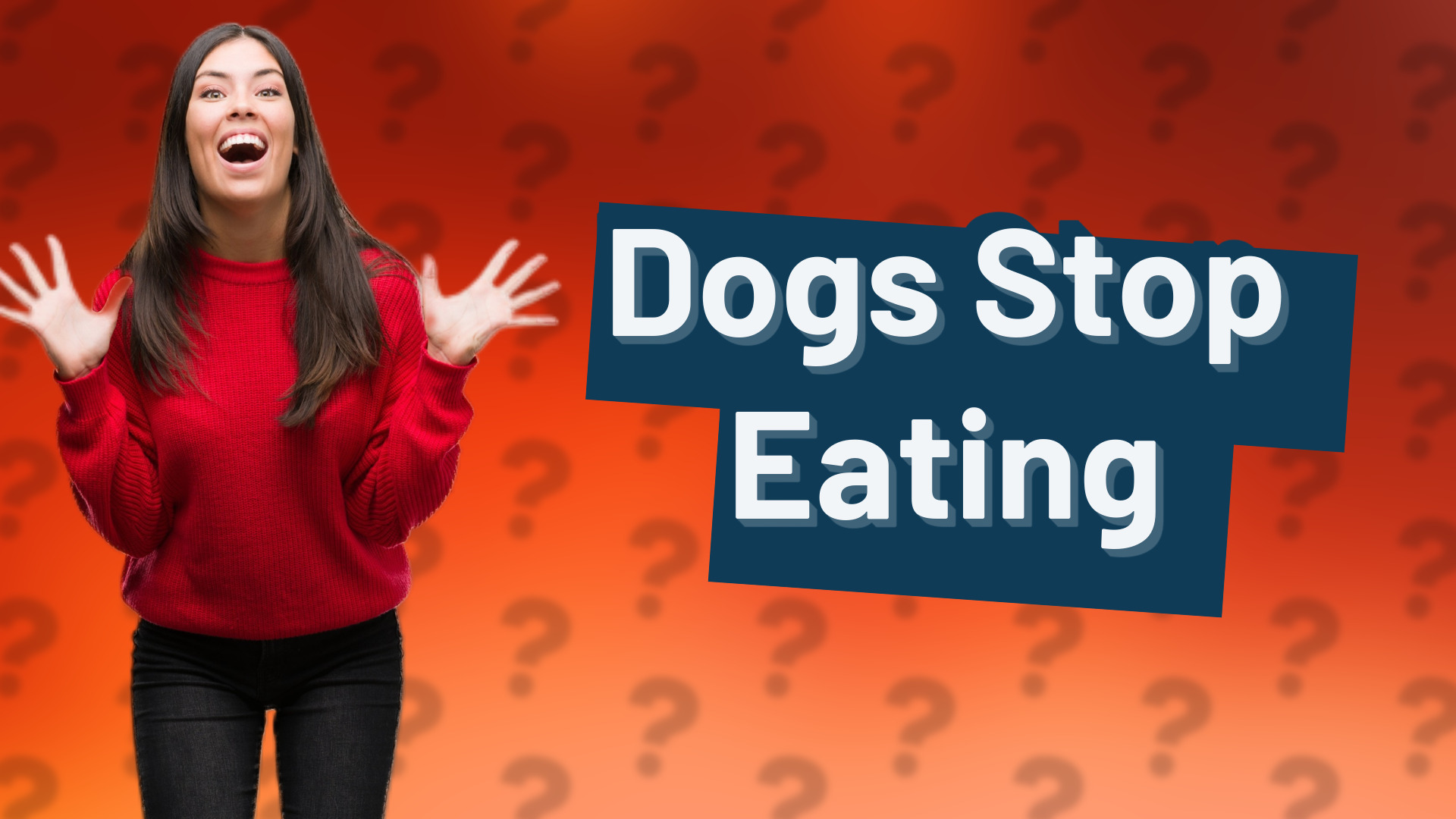Dogs Stop Eating