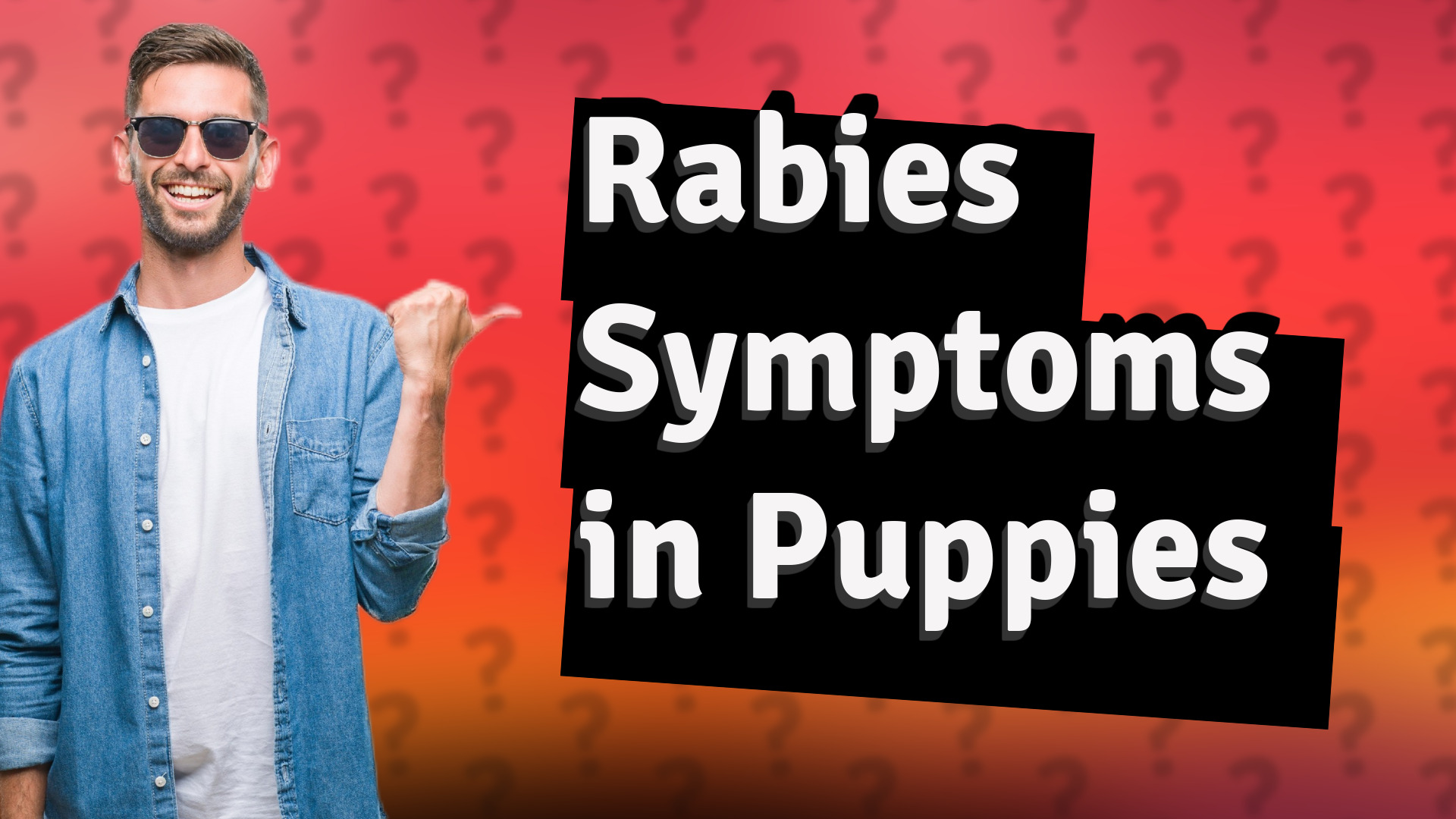 Rabies Symptoms in Puppies