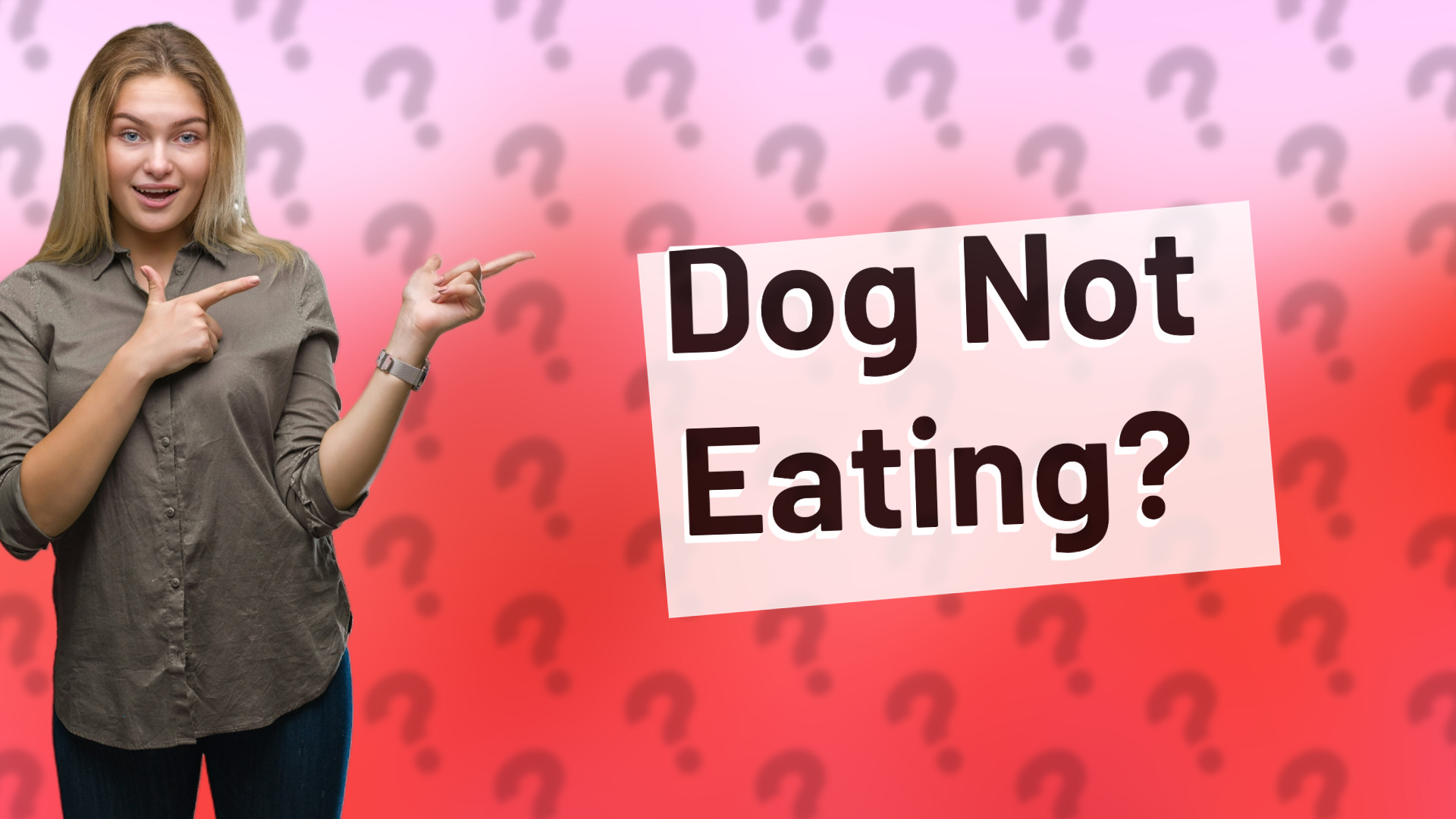 Dog Not Eating?