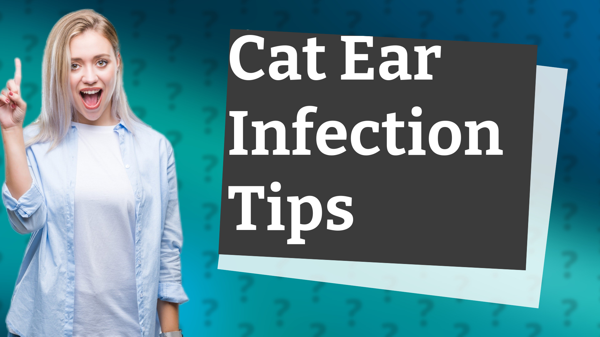 Cat Ear Infection Tips