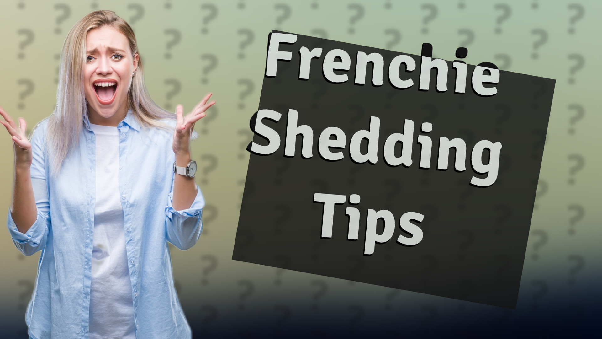 Frenchie Shedding Tips