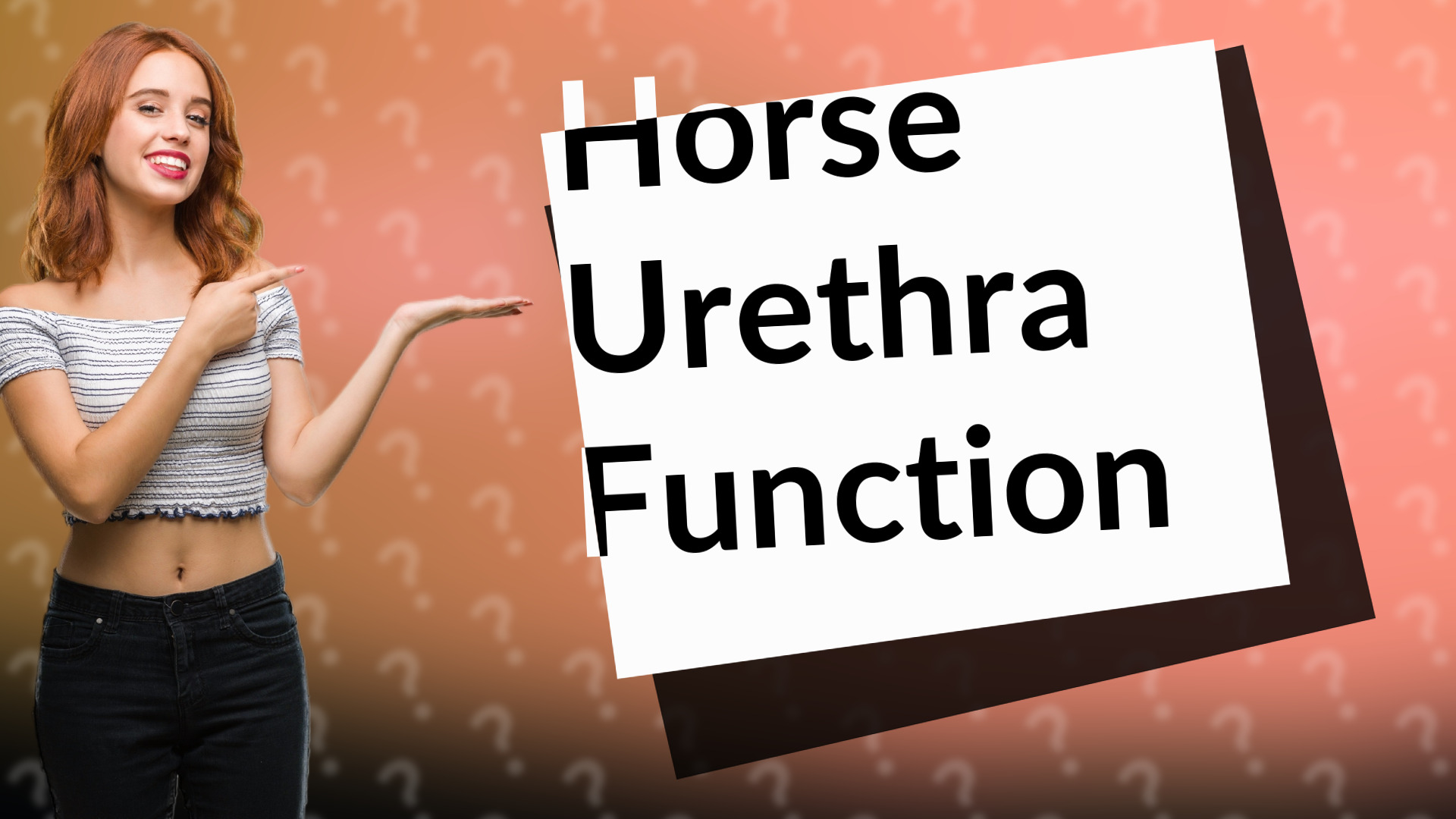 Horse Urethra Function