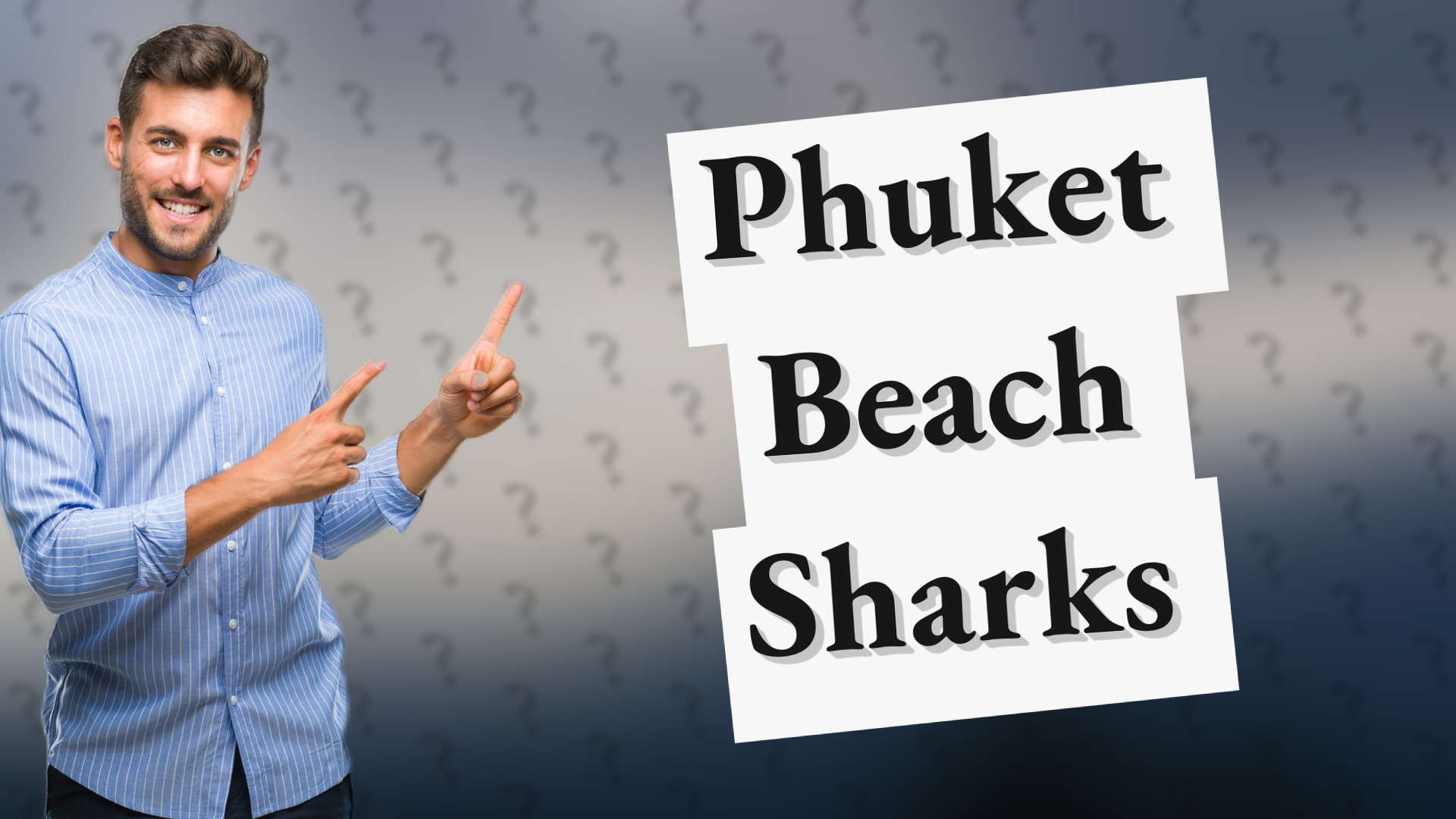 Phuket Beach Sharks
