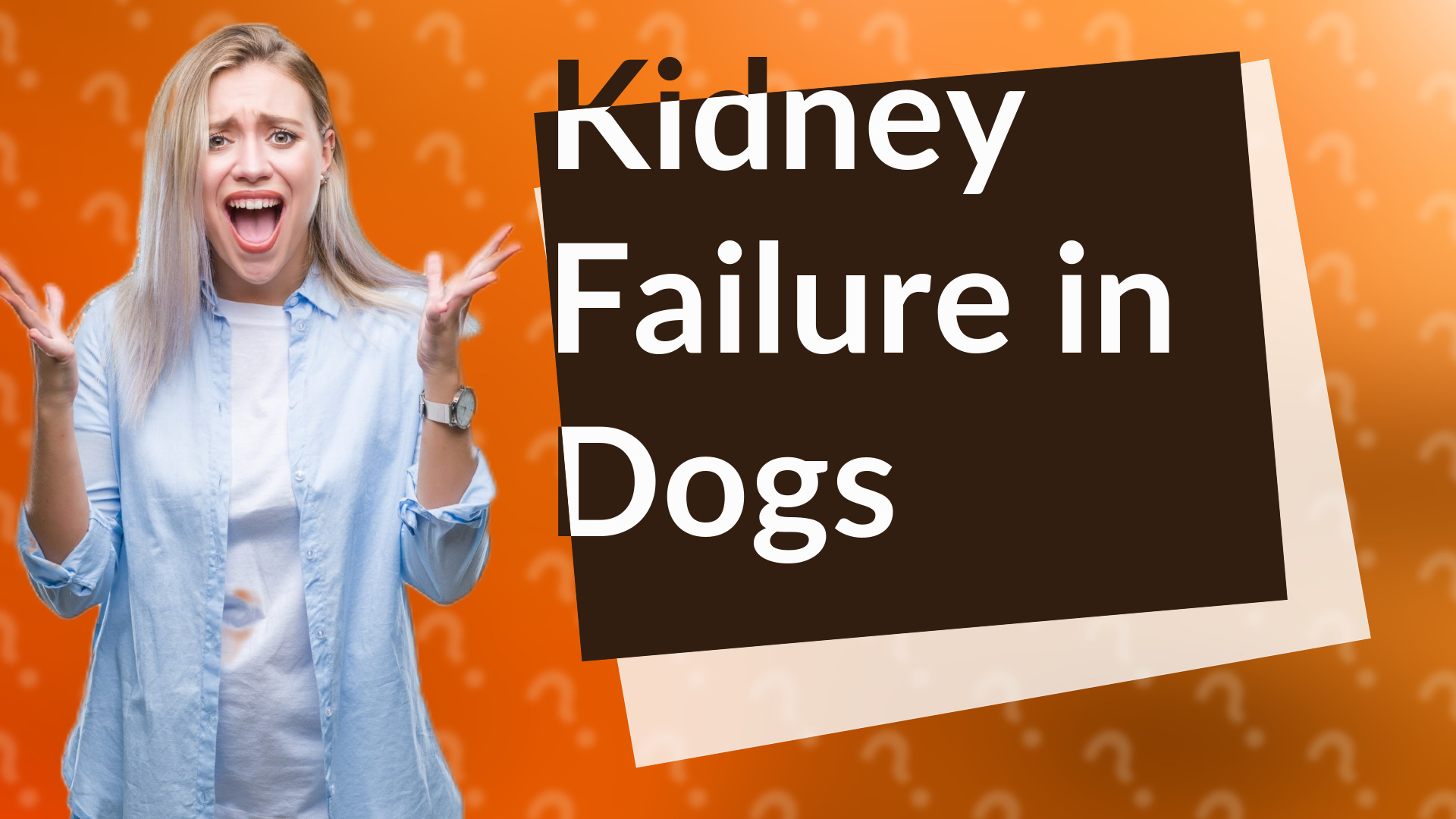 Kidney Failure in Dogs