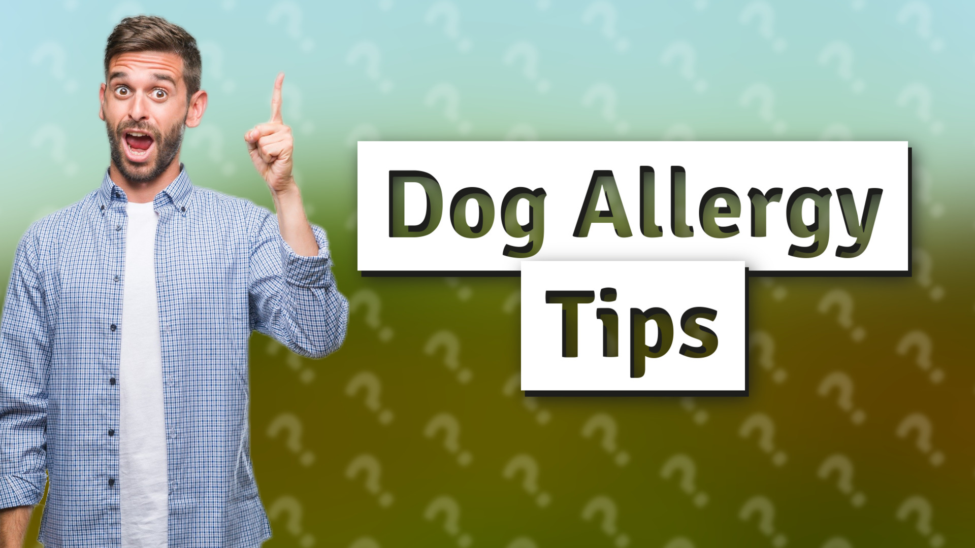Dog Allergy Tips
