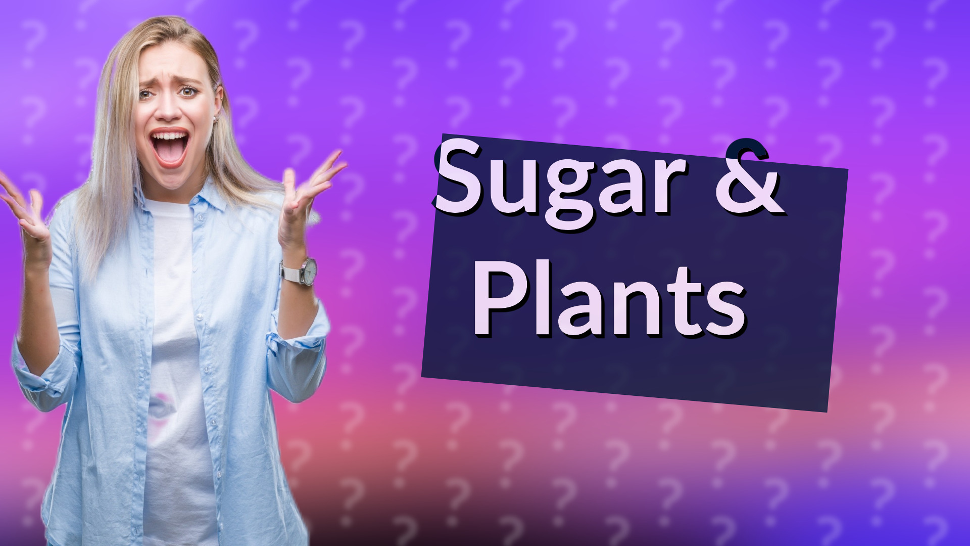 Sugar & Plants