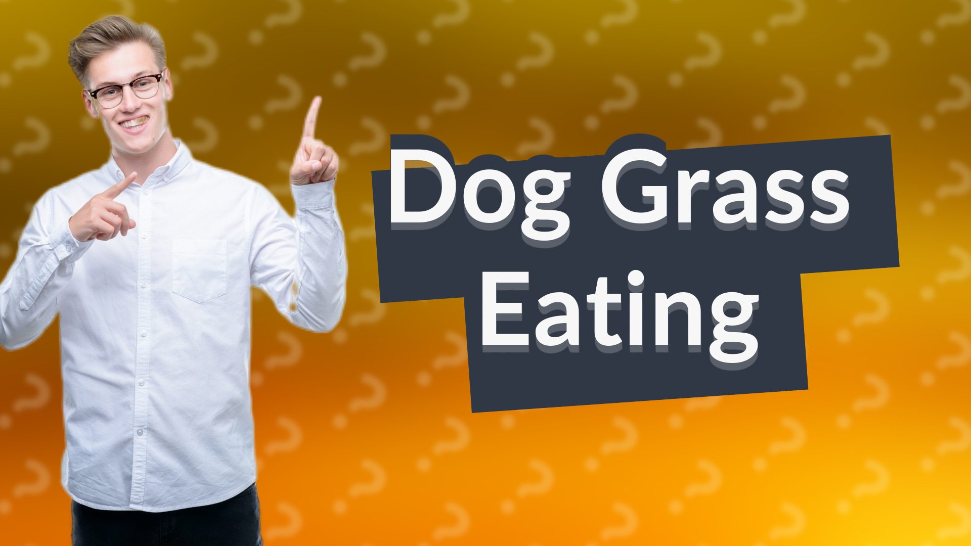 Dog Grass Eating