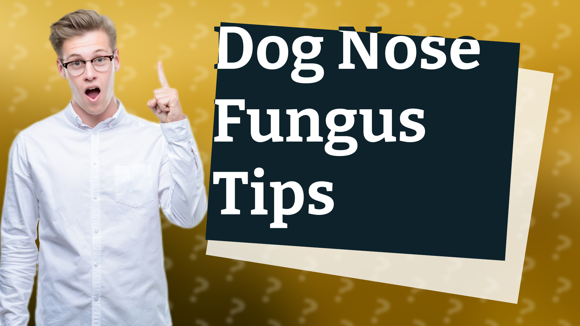 Dog Nose Fungus Tips