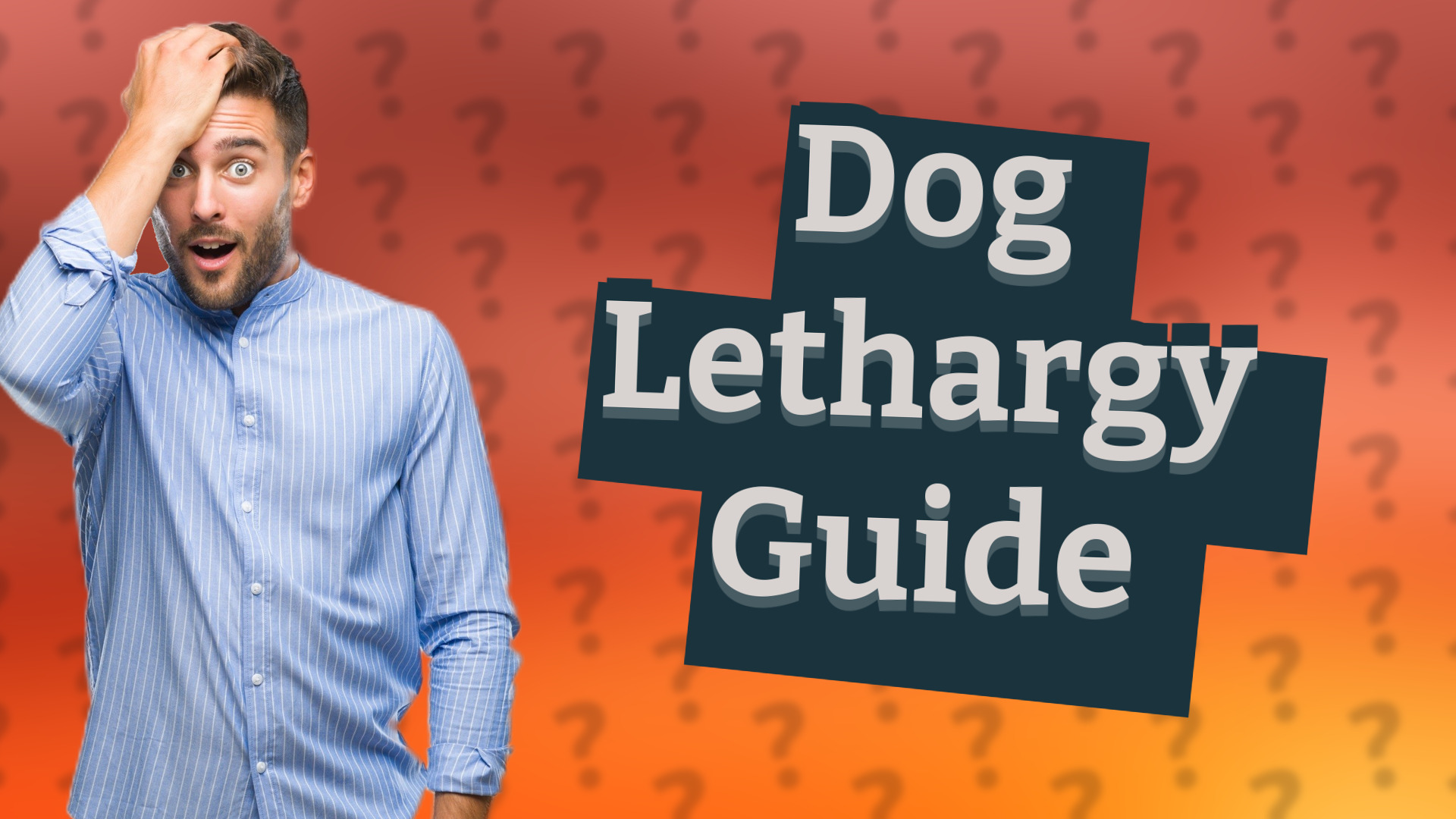 Dog Lethargy Guide