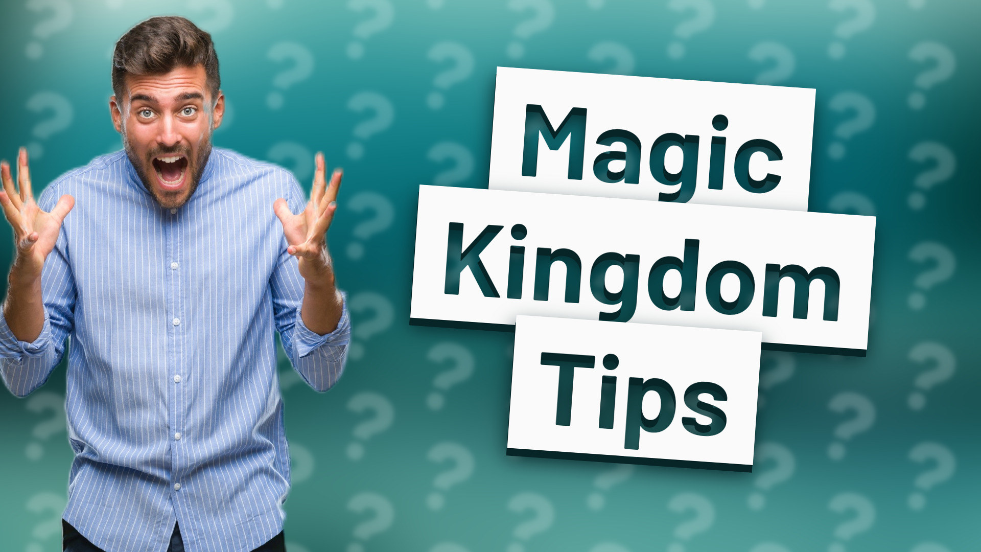 Magic Kingdom Tips