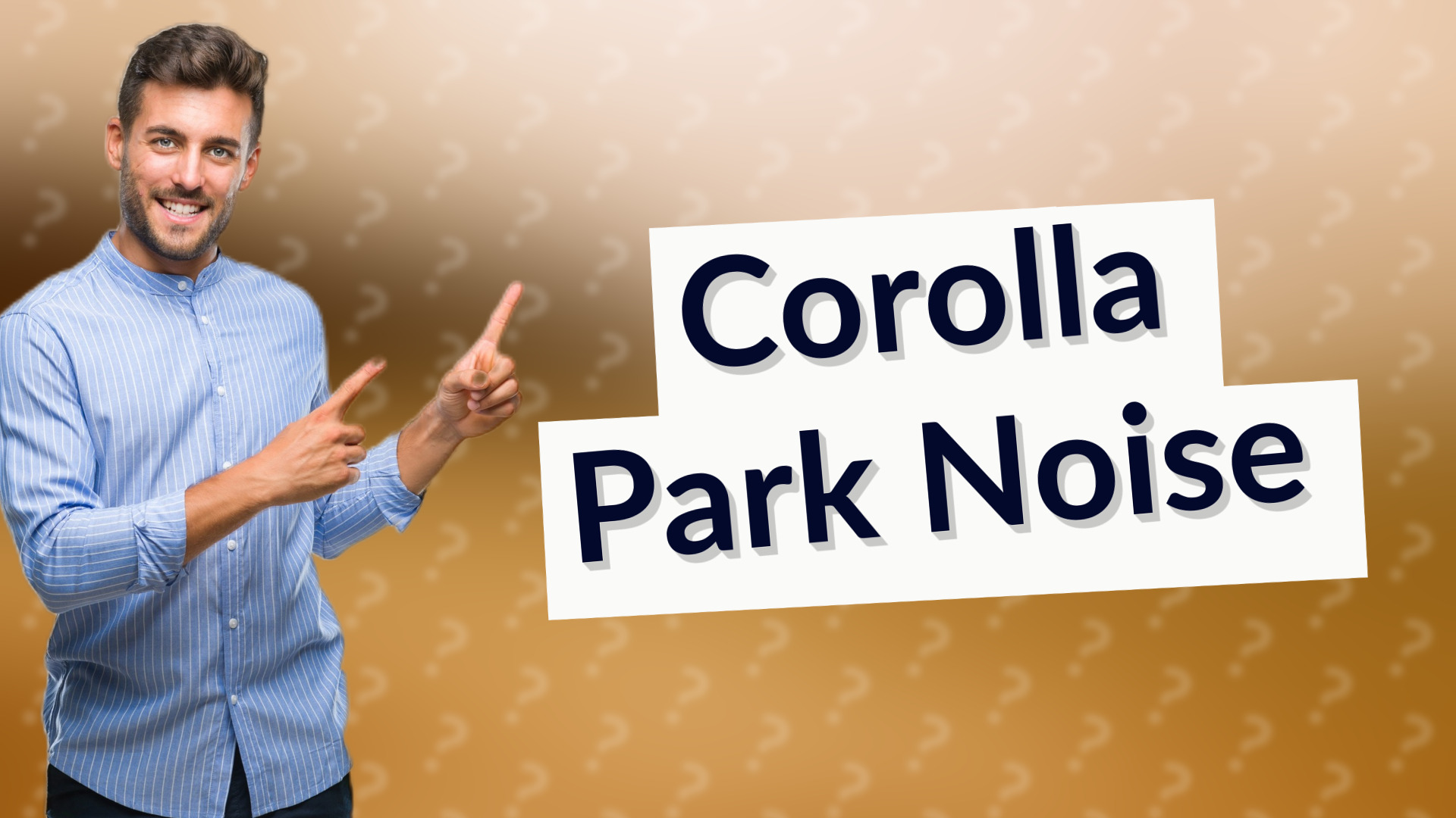 Corolla Park Noise