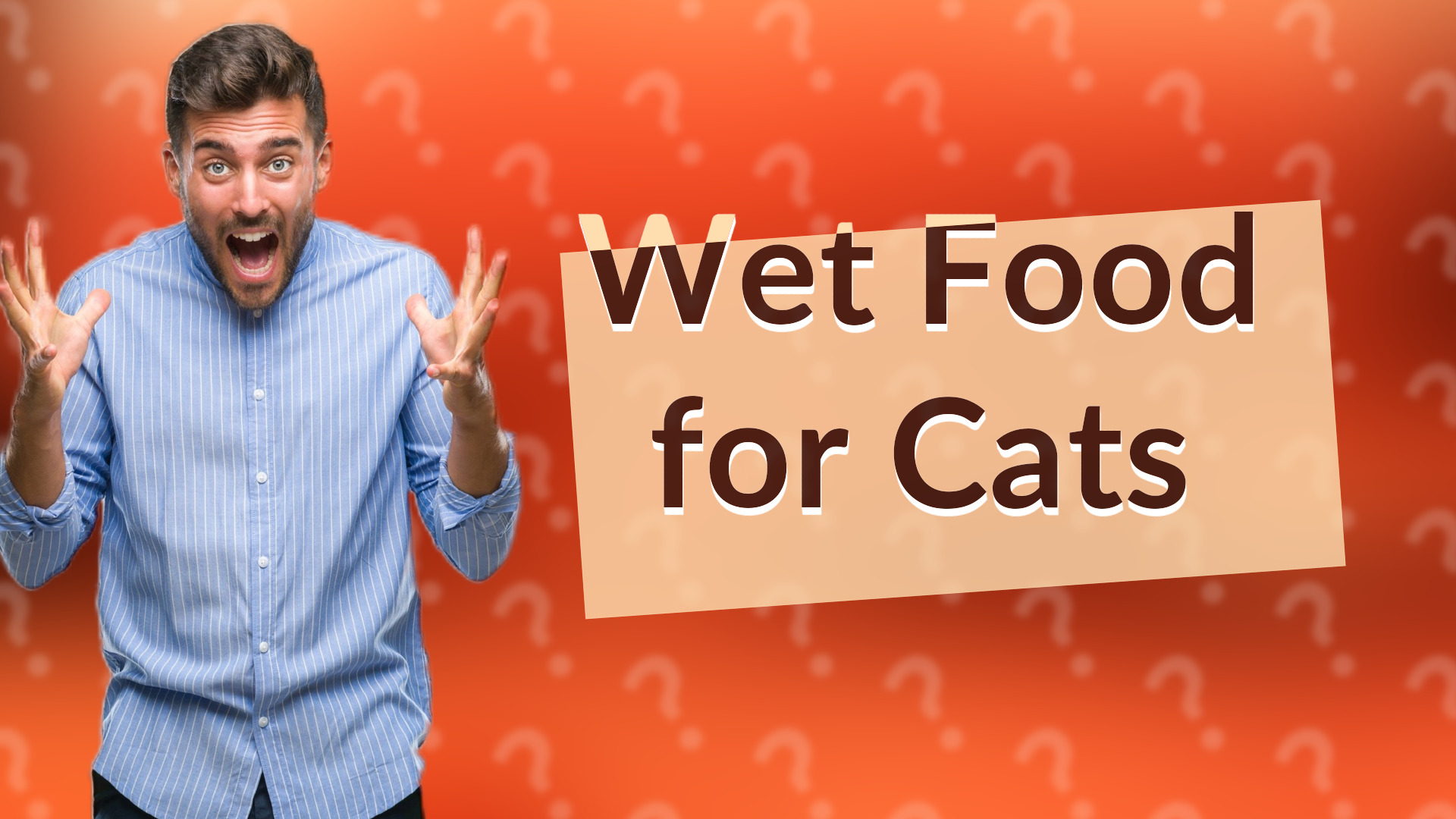 Wet Food for Cats