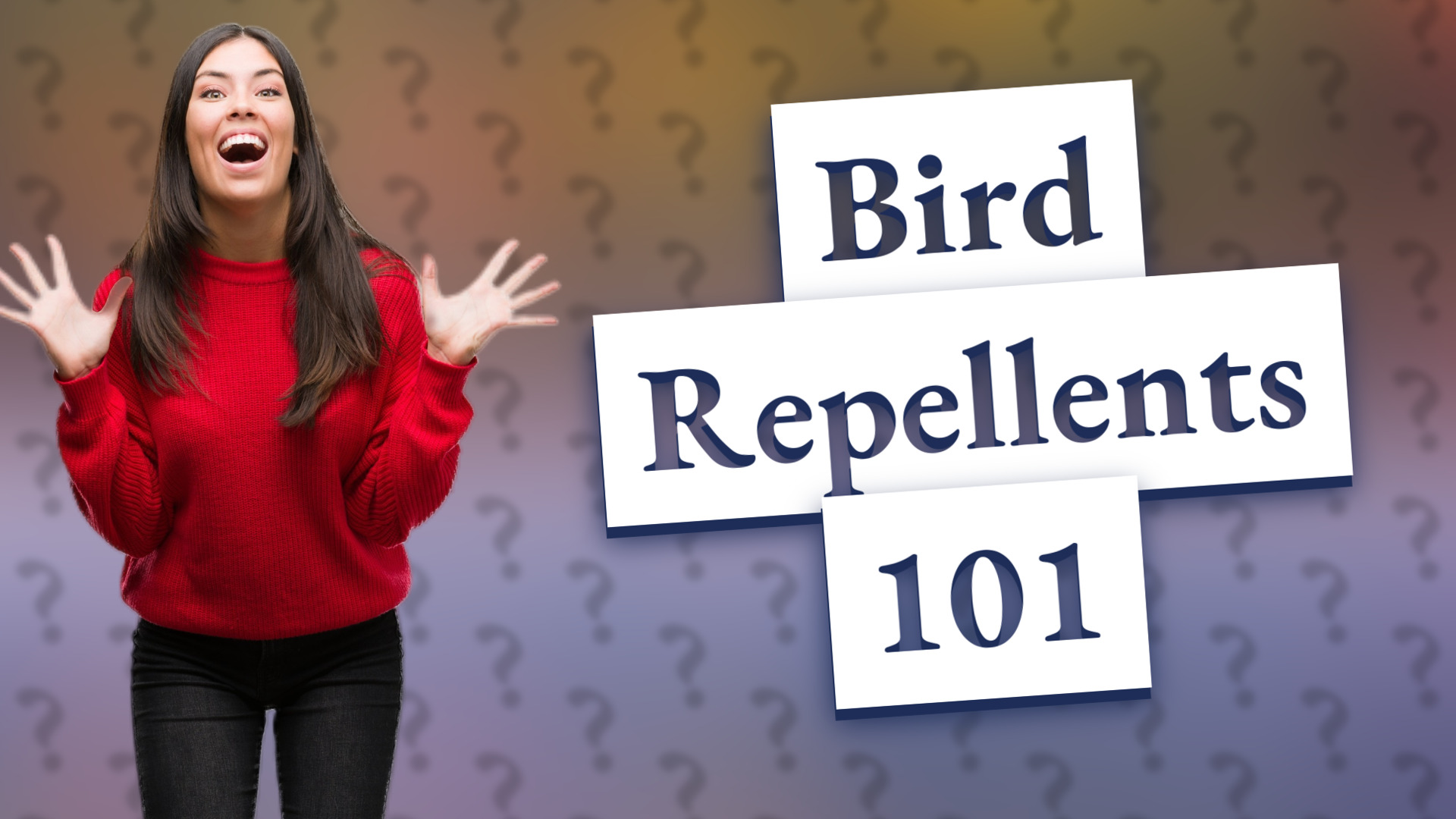 Bird Repellents 101
