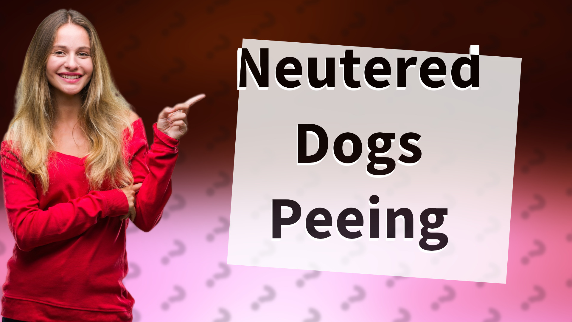 Neutered Dogs Peeing