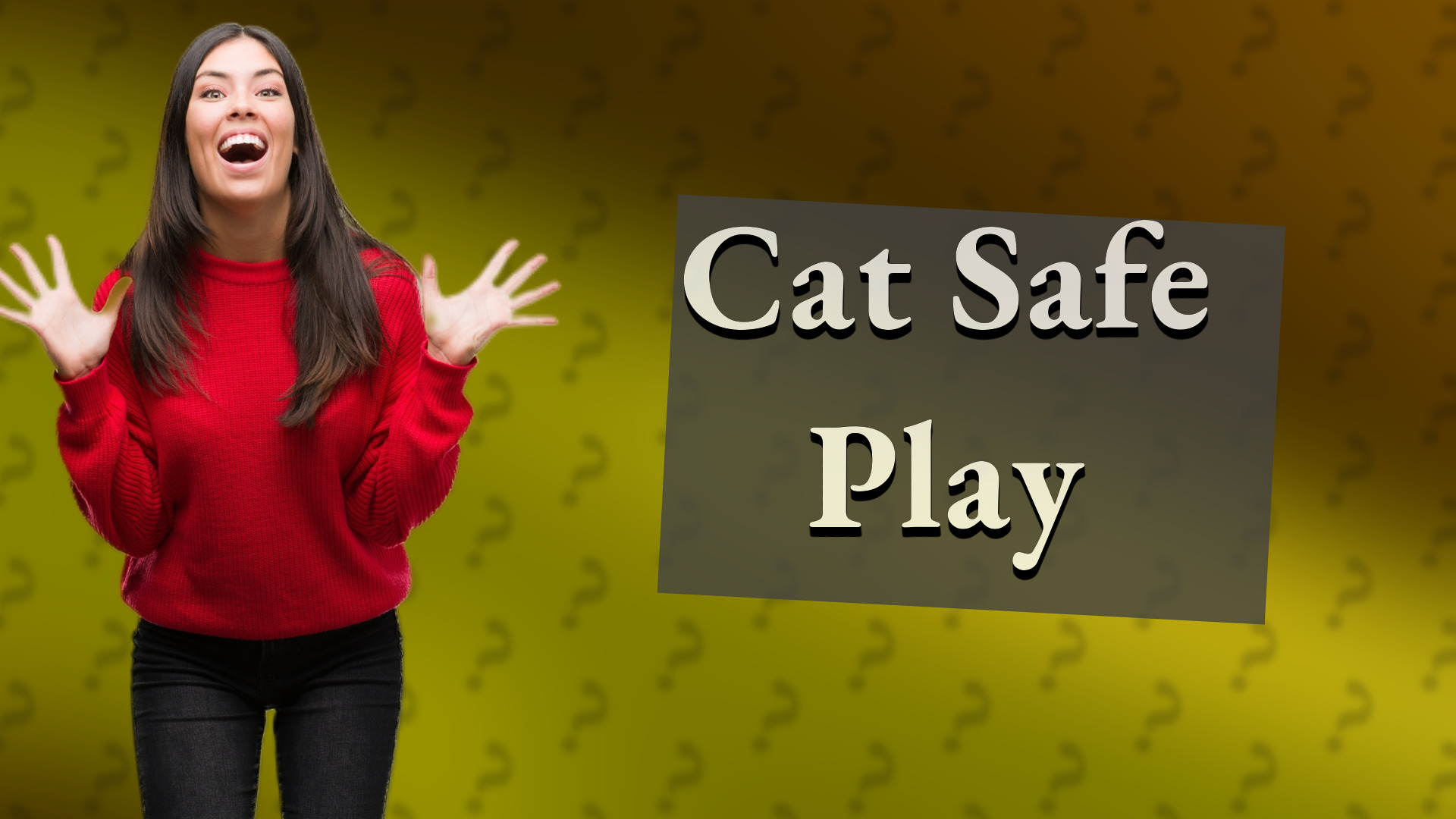 Cat Safe Play