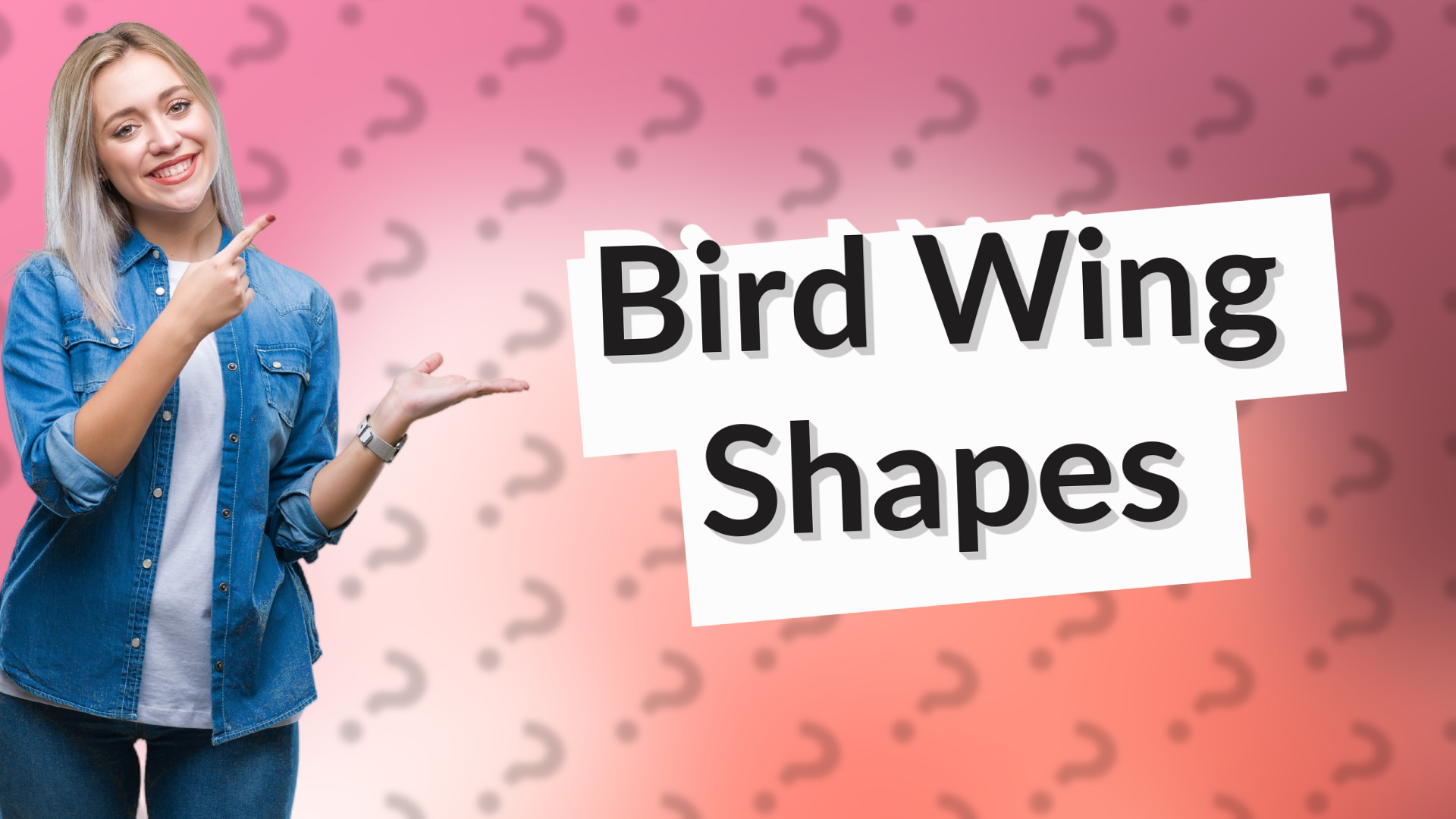 Bird Wing Shapes