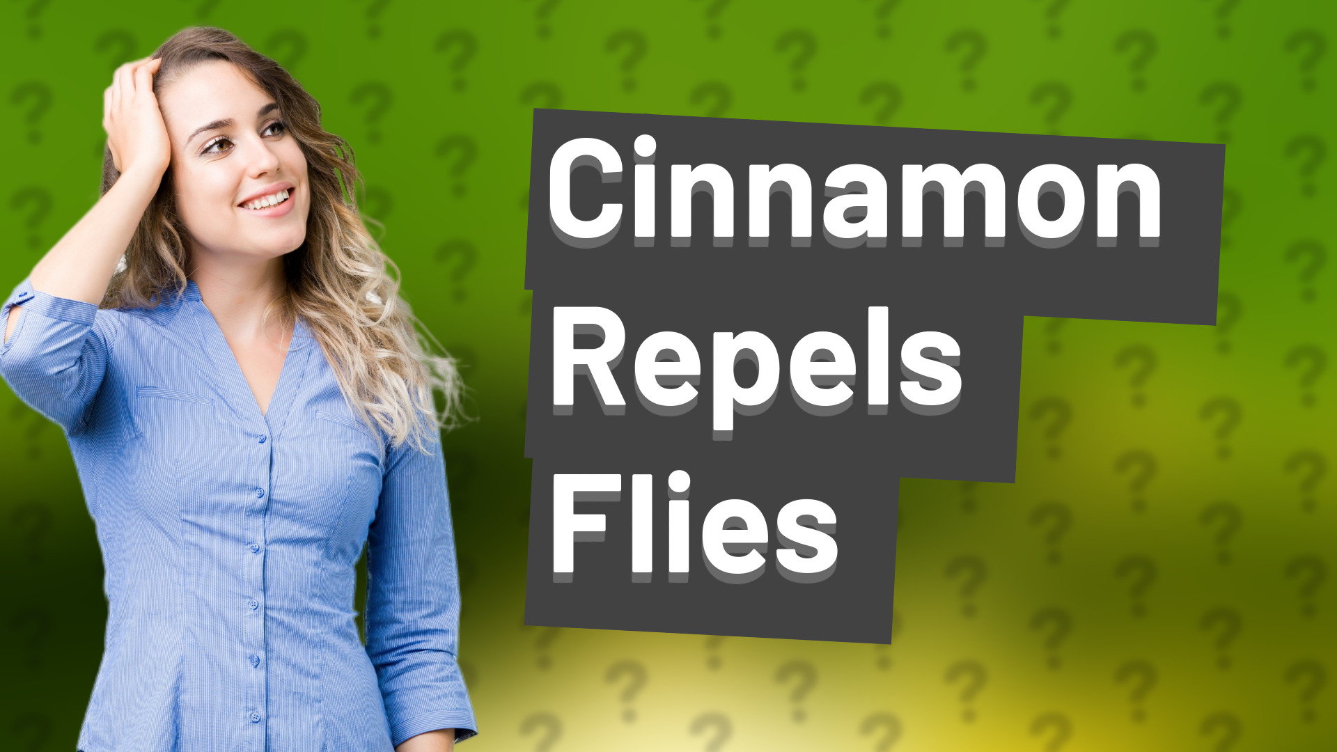 Cinnamon Repels Flies