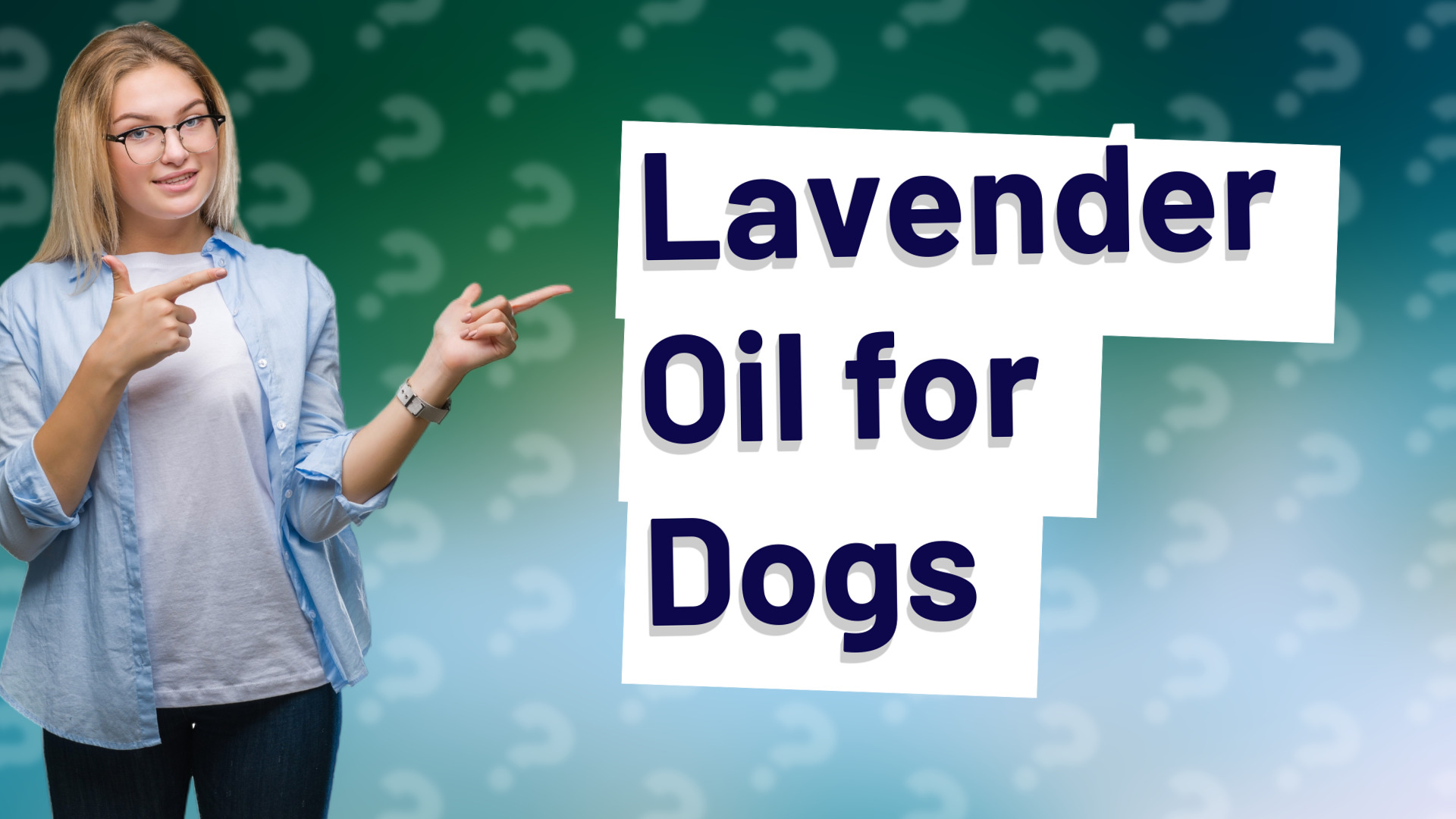 Lavender Oil for Dogs