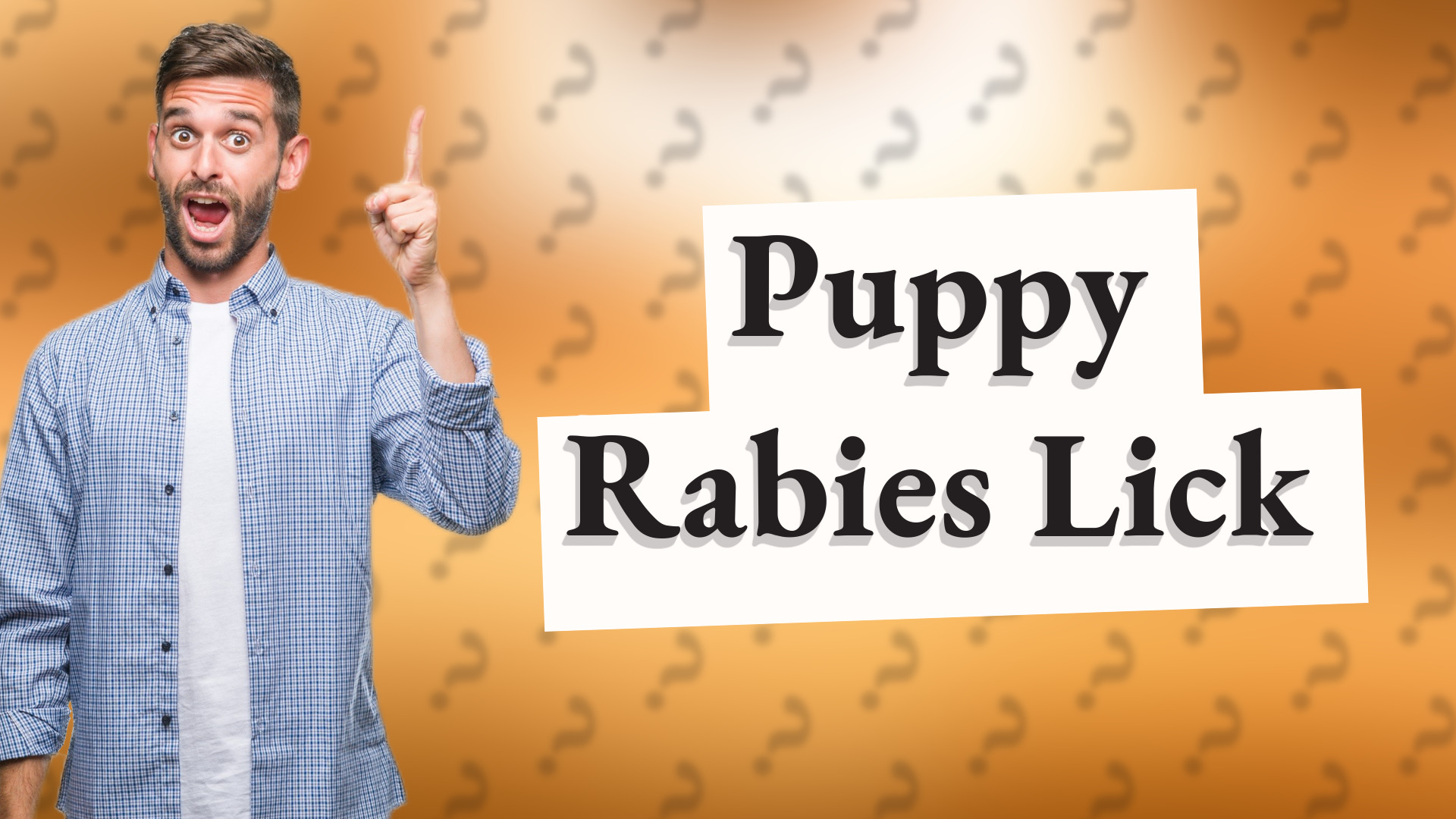 Puppy Rabies Lick