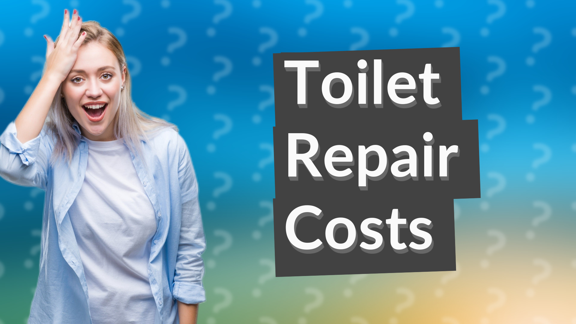 Toilet Repair Costs