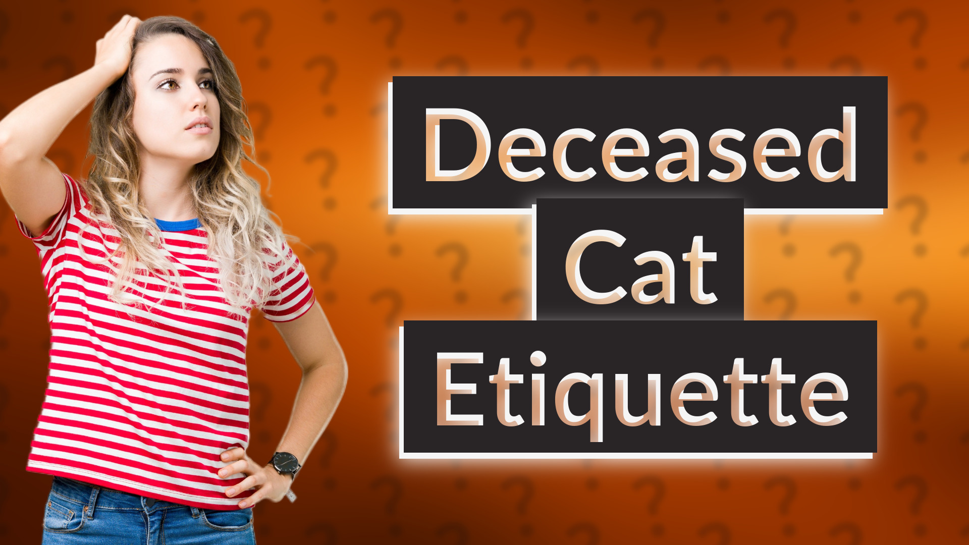 Deceased Cat Etiquette