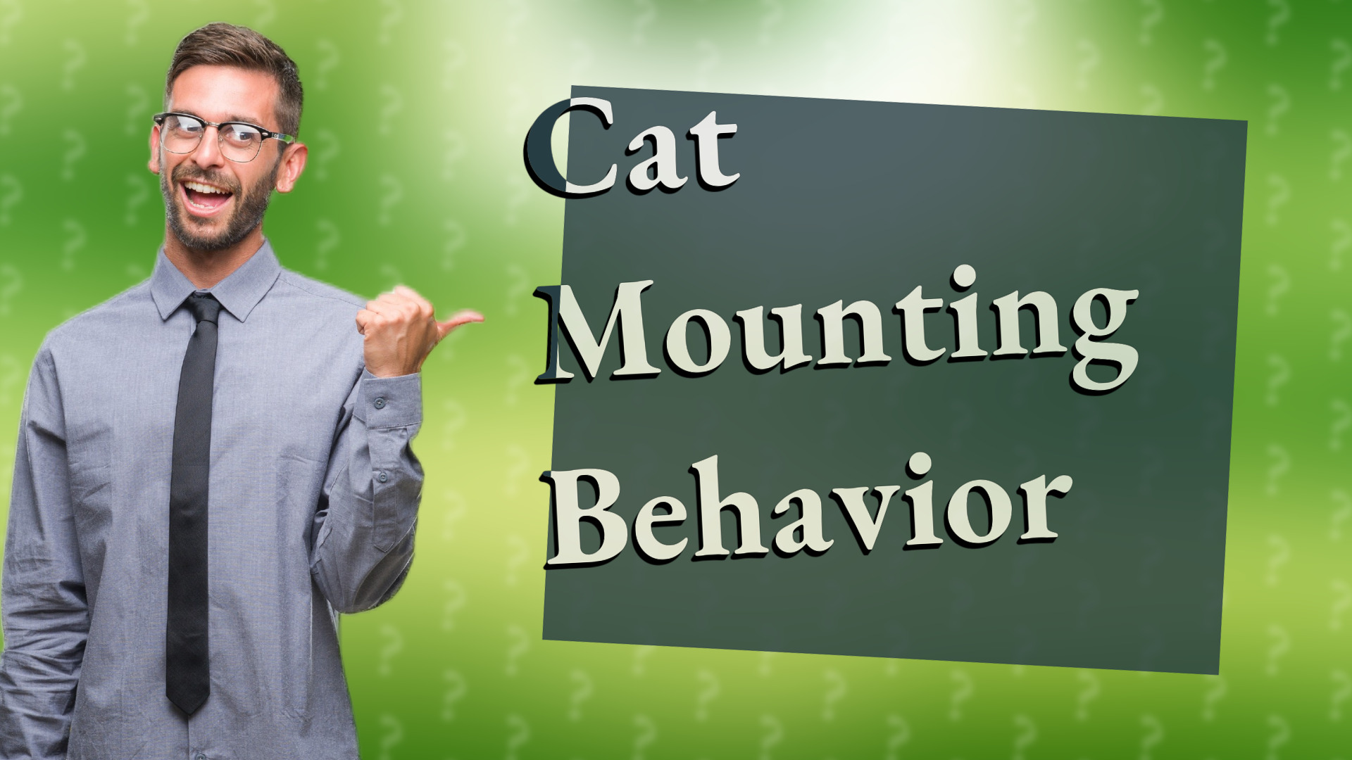 Cat Mounting Behavior