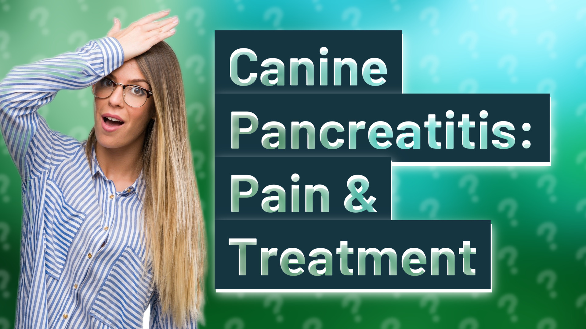 Canine Pancreatitis: Pain & Treatment
