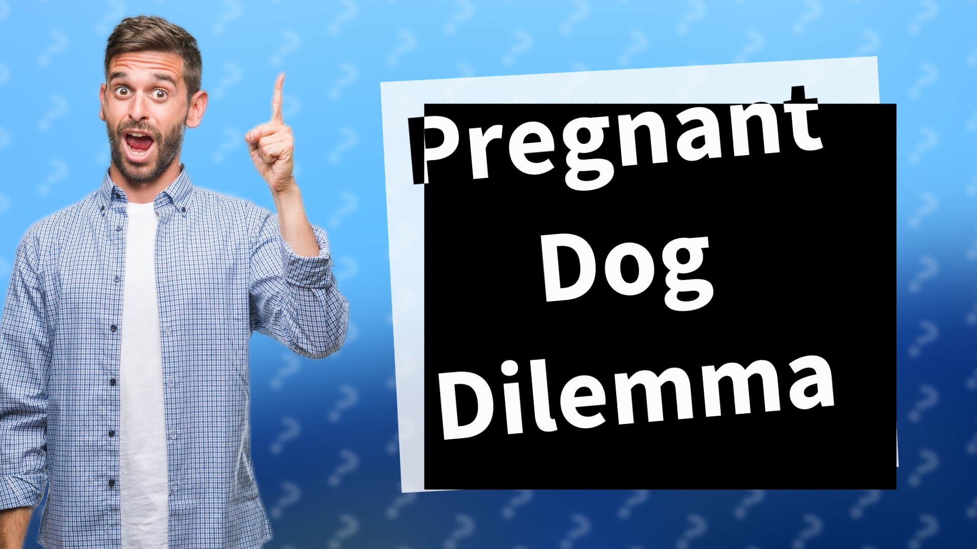 Pregnant Dog Dilemma
