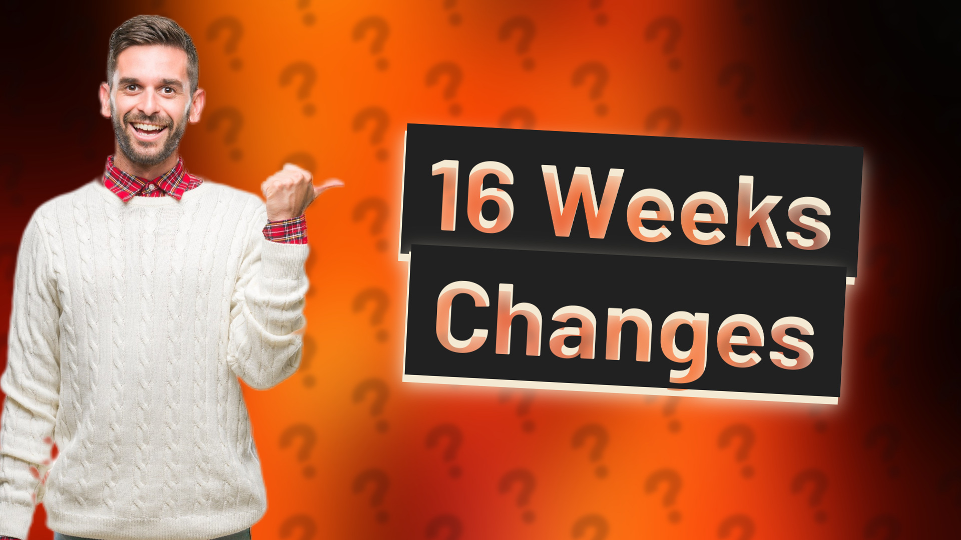 16 Weeks Changes