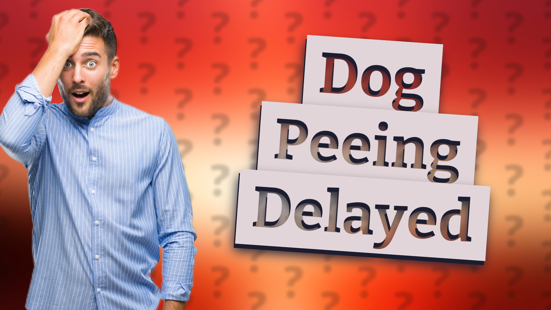 Dog Peeing Delayed