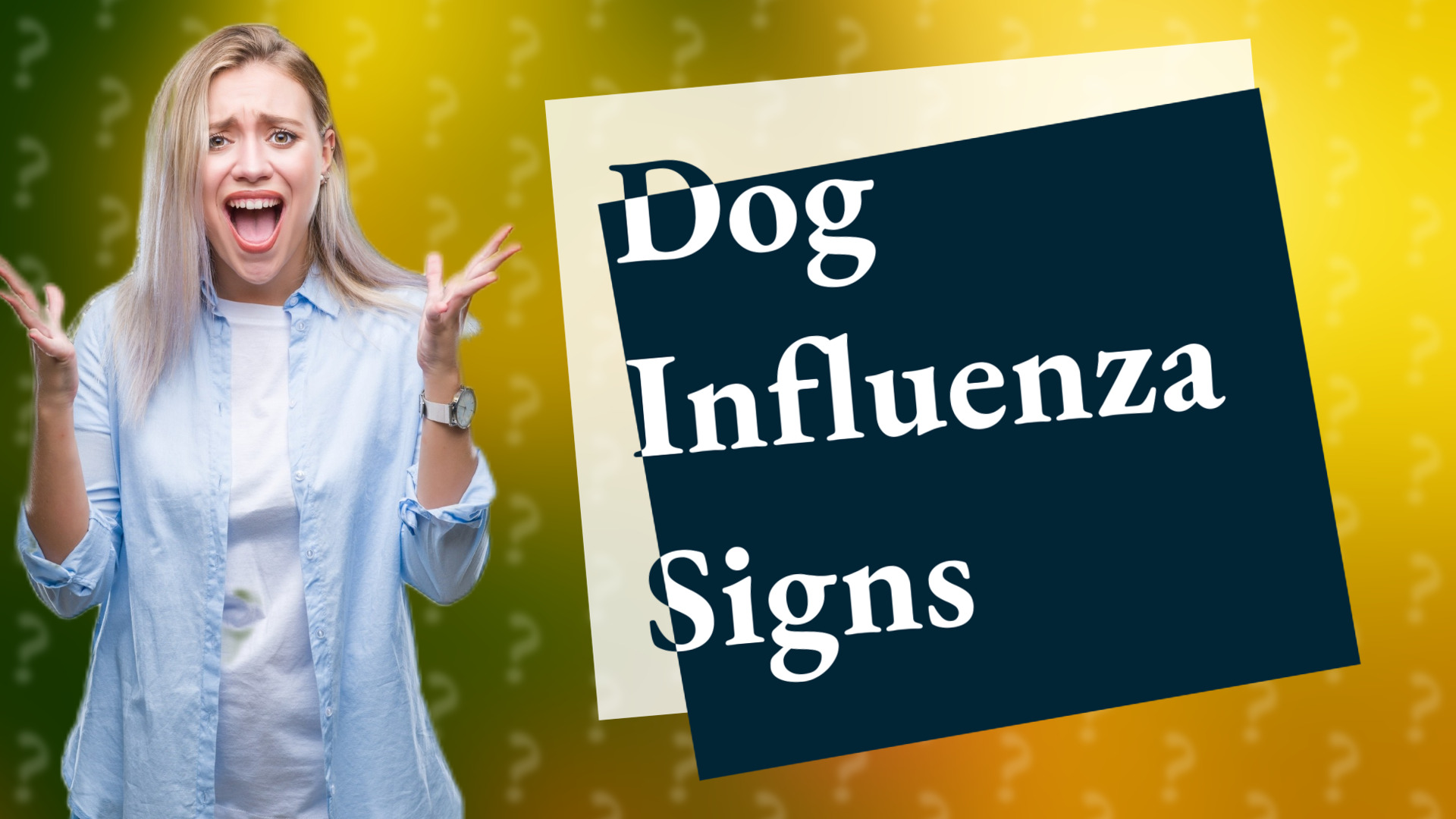 Dog Influenza Signs