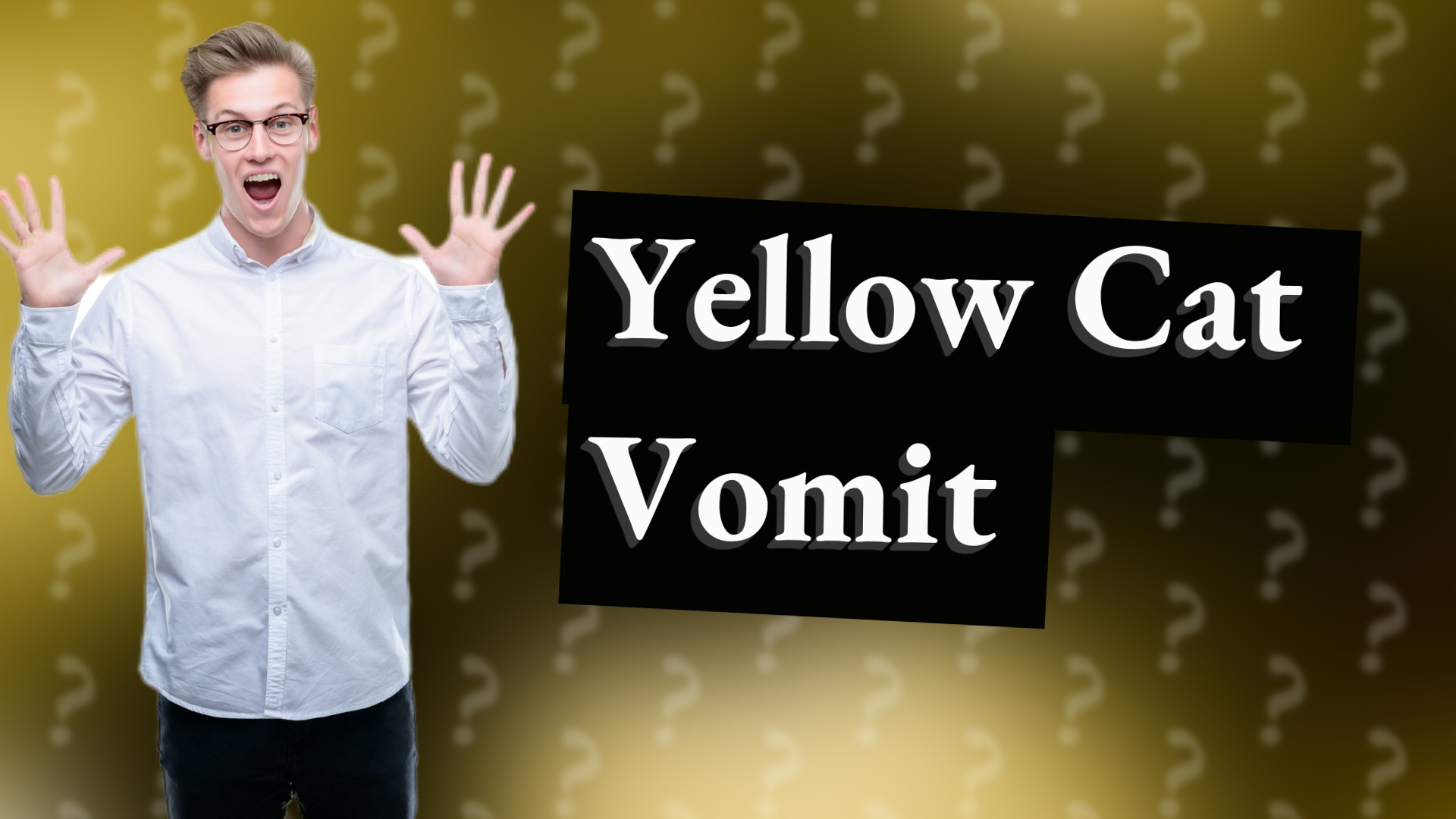 Yellow Cat Vomit