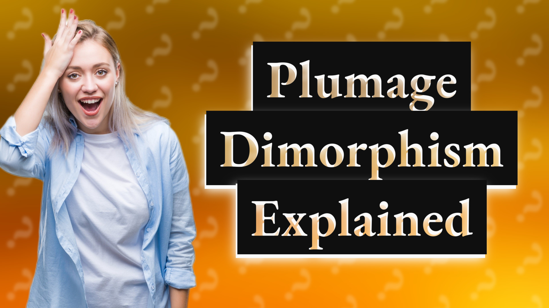 Plumage Dimorphism Explained