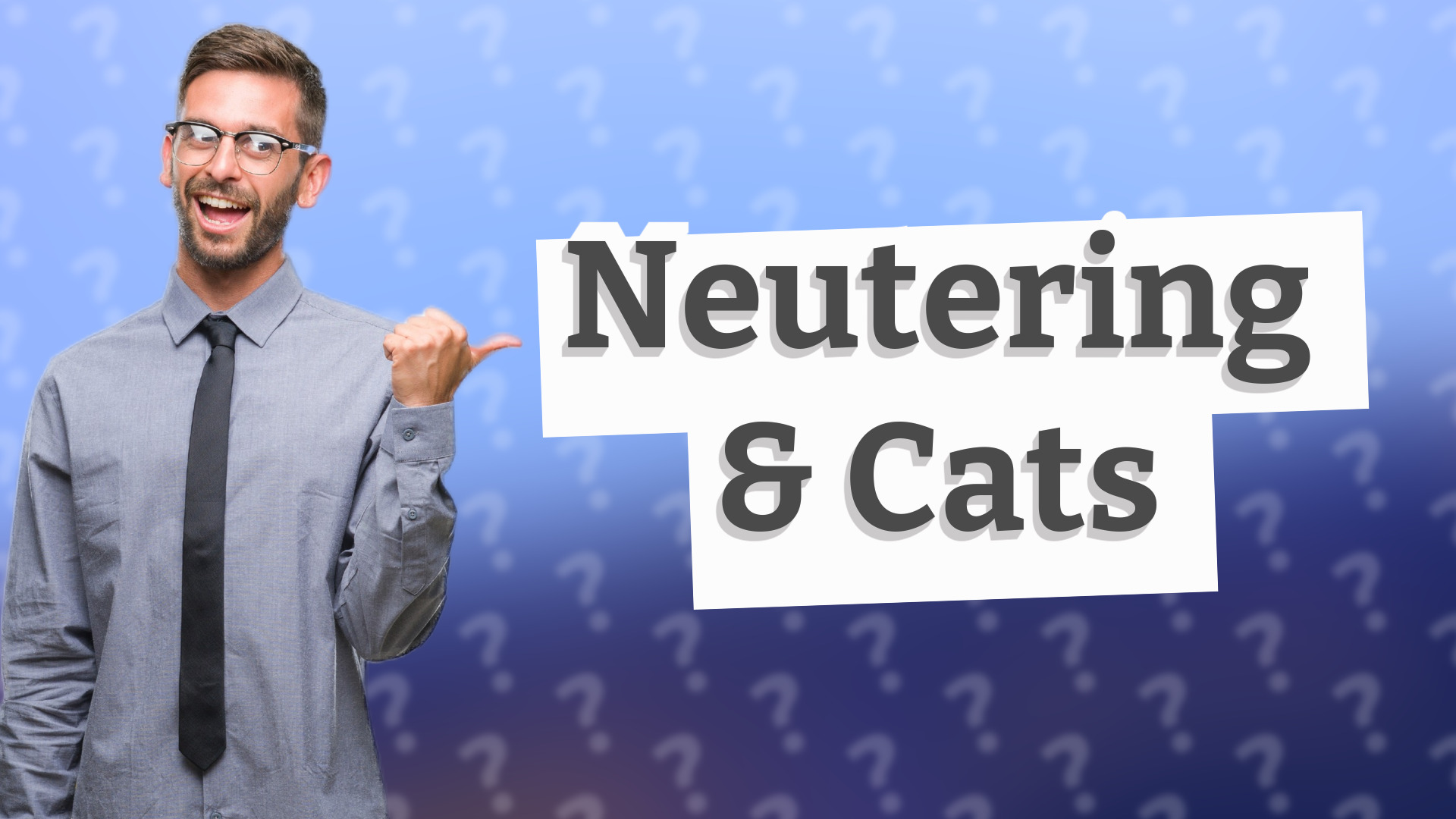 Neutering & Cats