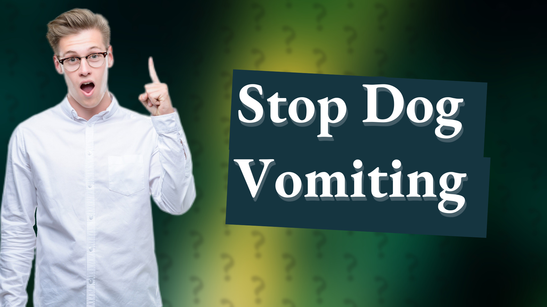 Stop Dog Vomiting