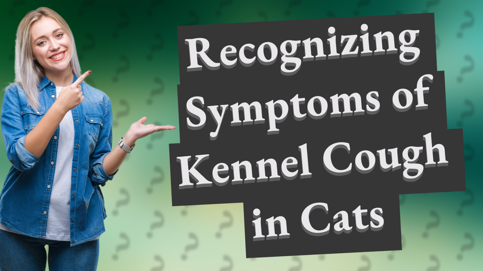 Recognizing Symptoms of Kennel Cough in Cats