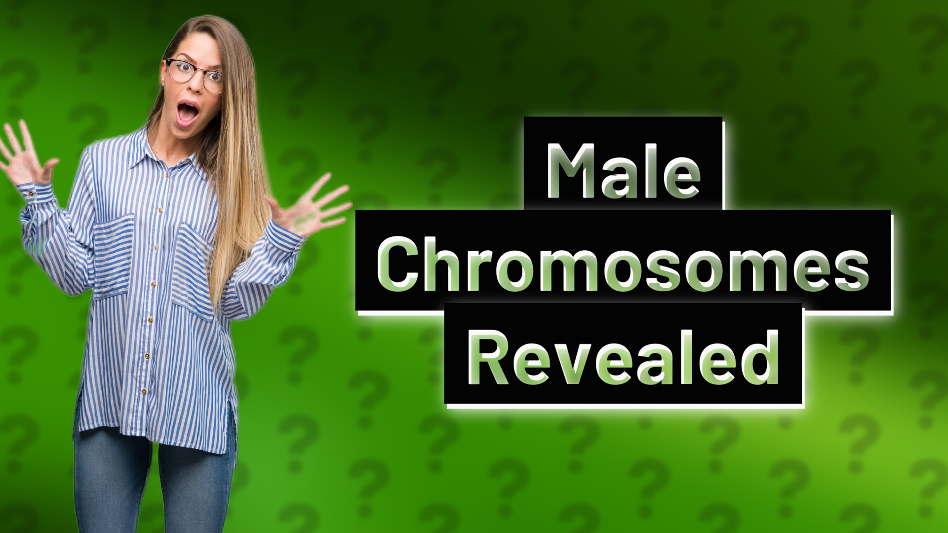 Male Chromosomes Revealed