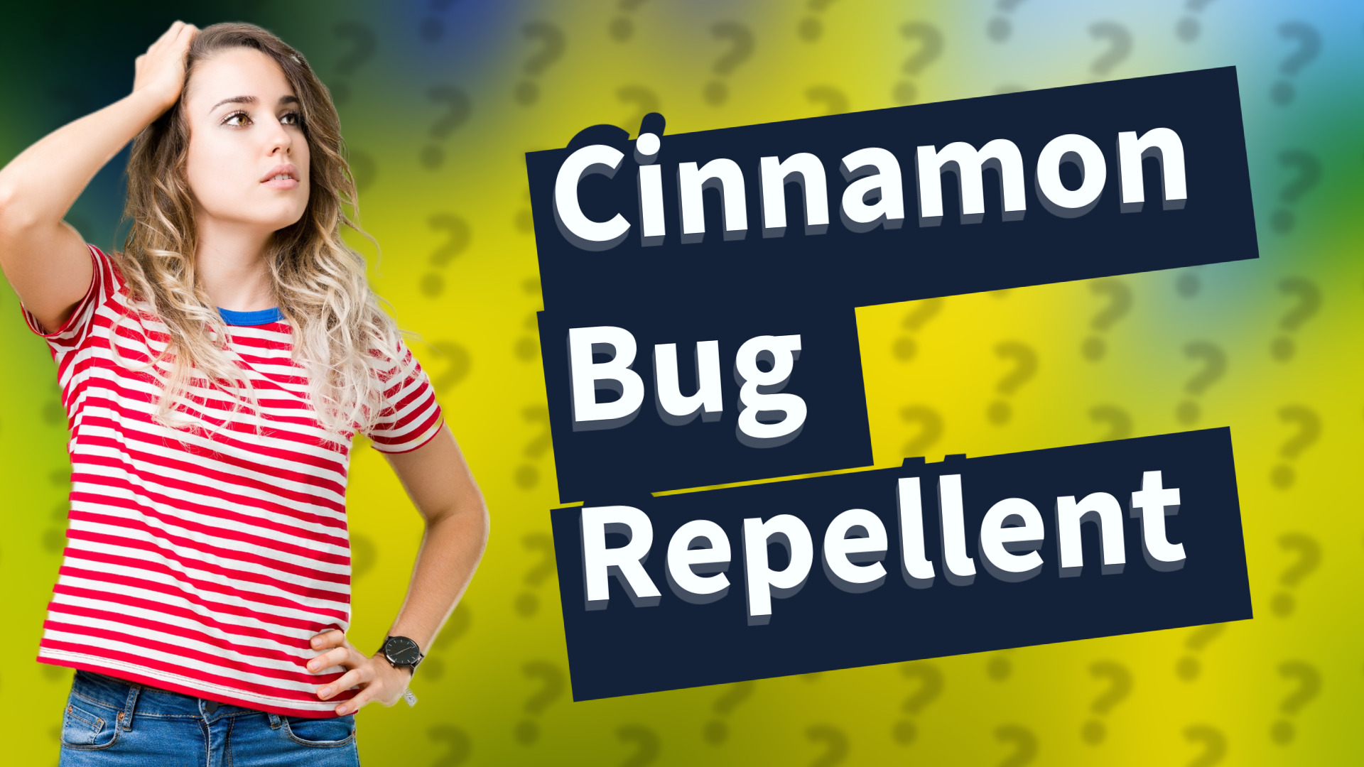 Cinnamon Bug Repellent