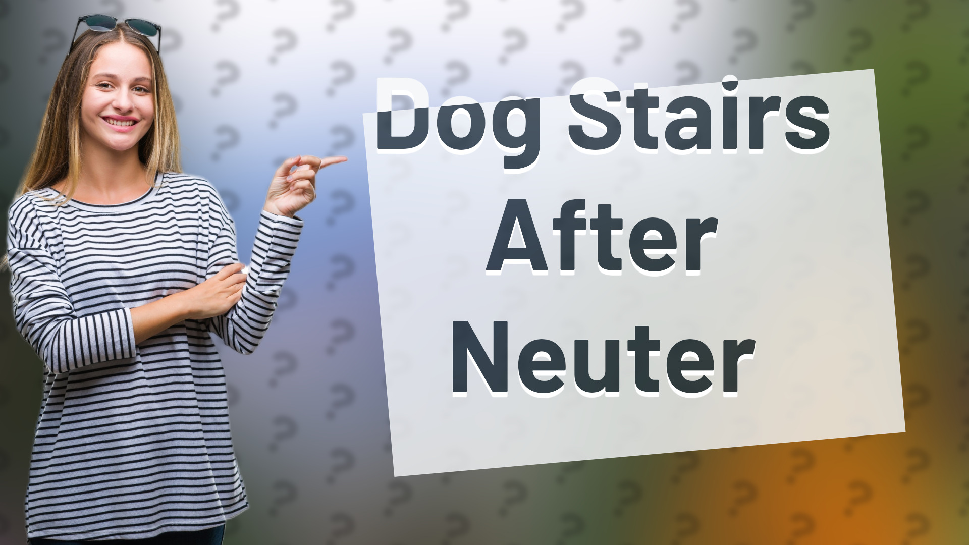 Dog Stairs After Neuter