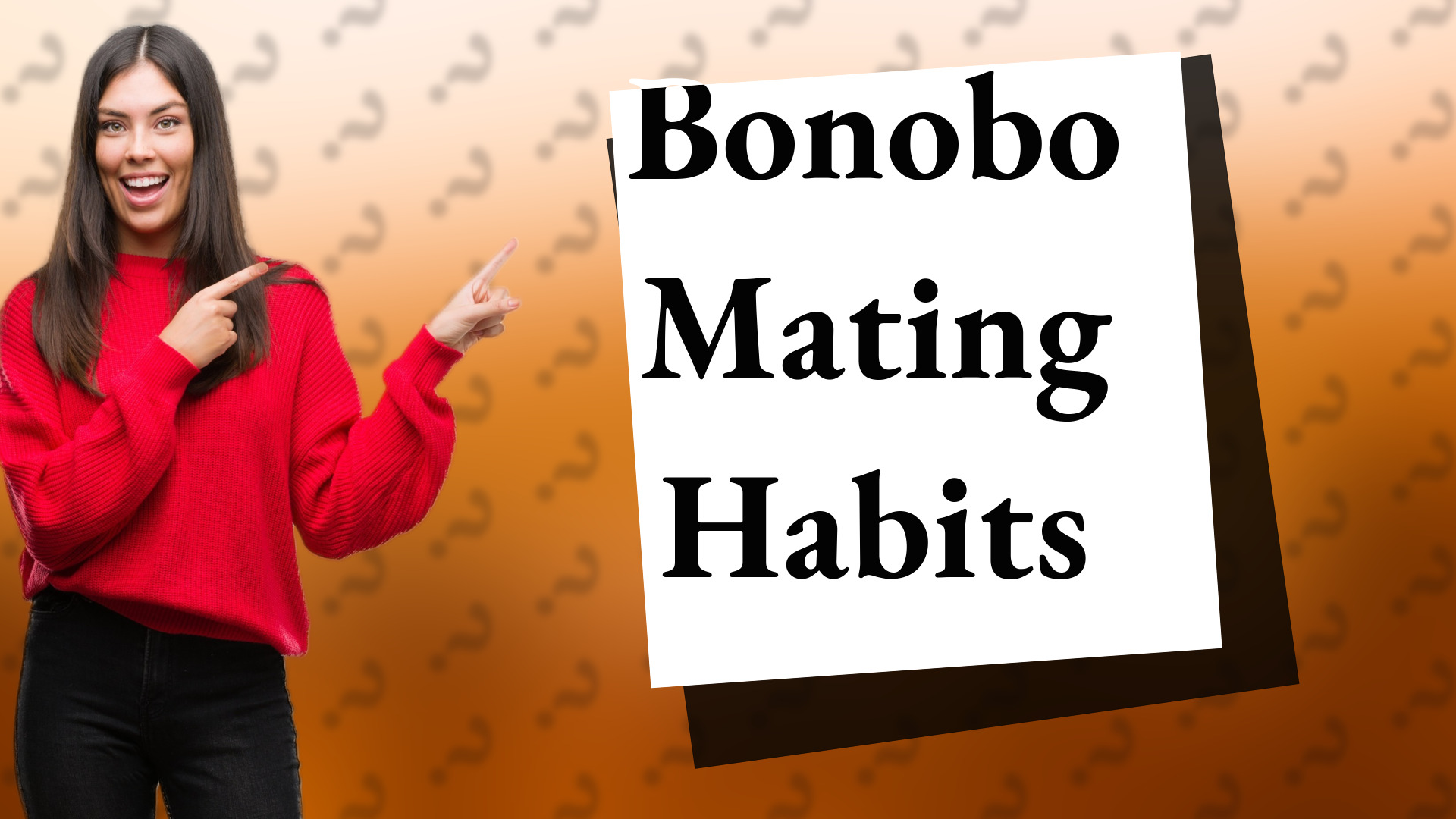 Bonobo Mating Habits